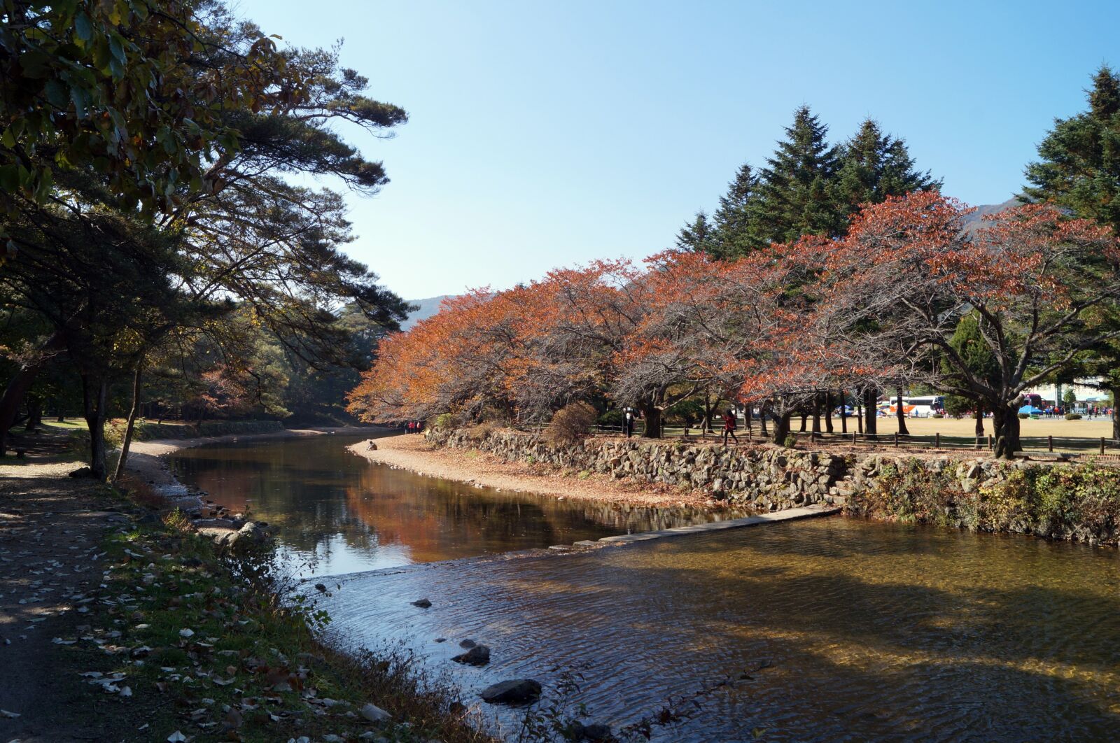 Sony SLT-A57 sample photo. Korea, chungbuk, songnisan photography