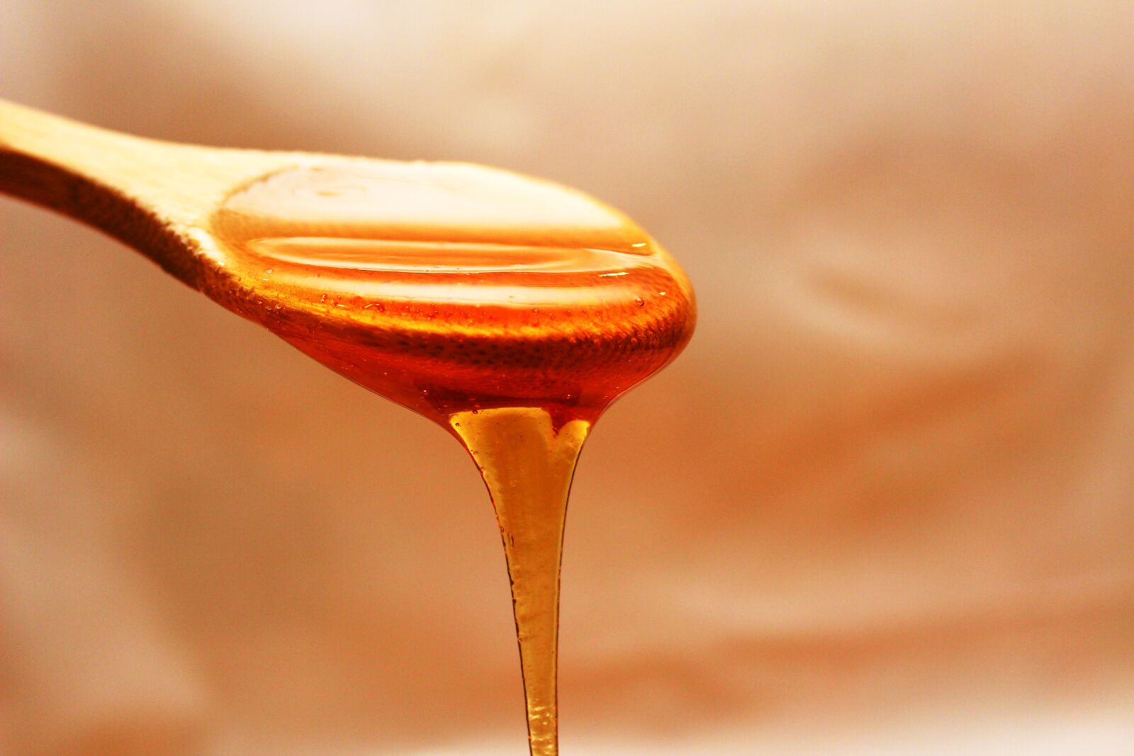Canon EOS 600D (Rebel EOS T3i / EOS Kiss X5) sample photo. Honey, flowing, spoon photography