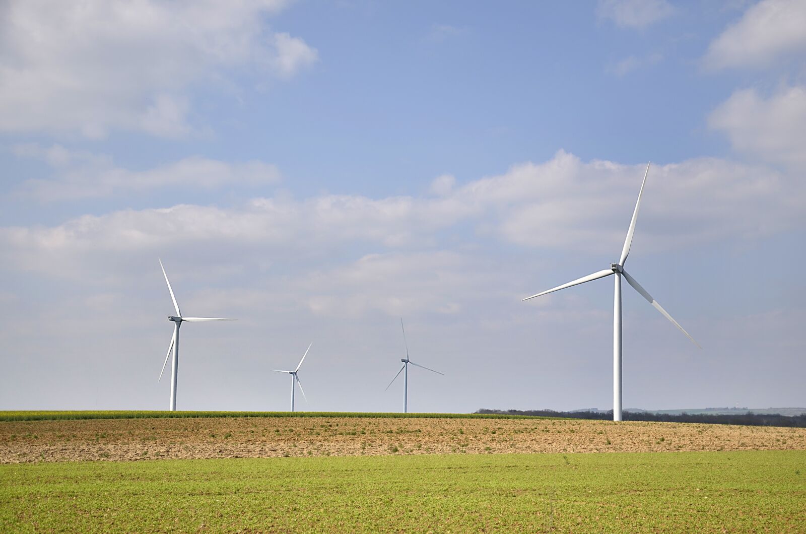 Nikon D5100 sample photo. Sustainable development, wind, high photography