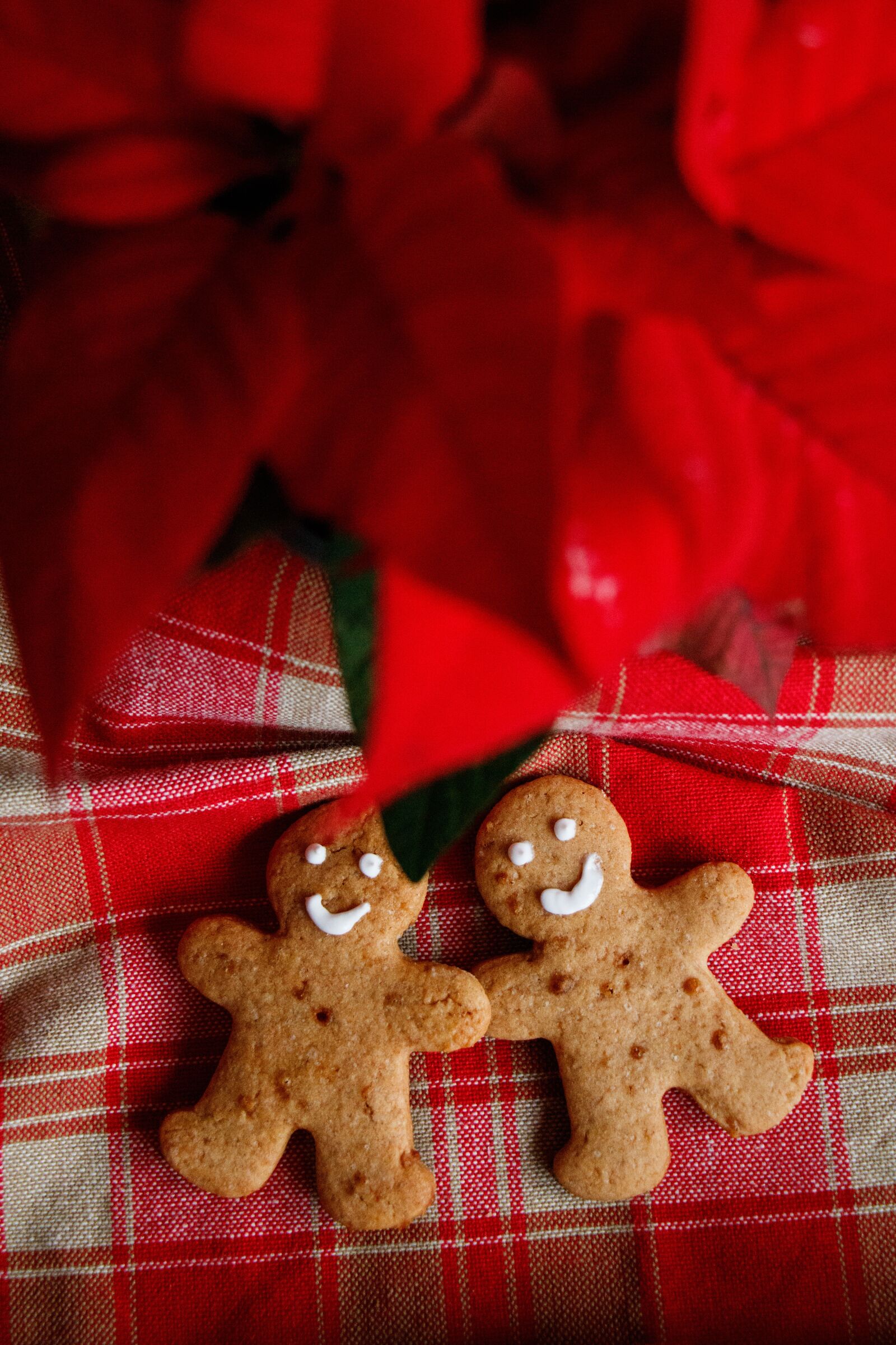 Canon EOS 750D (EOS Rebel T6i / EOS Kiss X8i) sample photo. Biscuit, cake, food photography