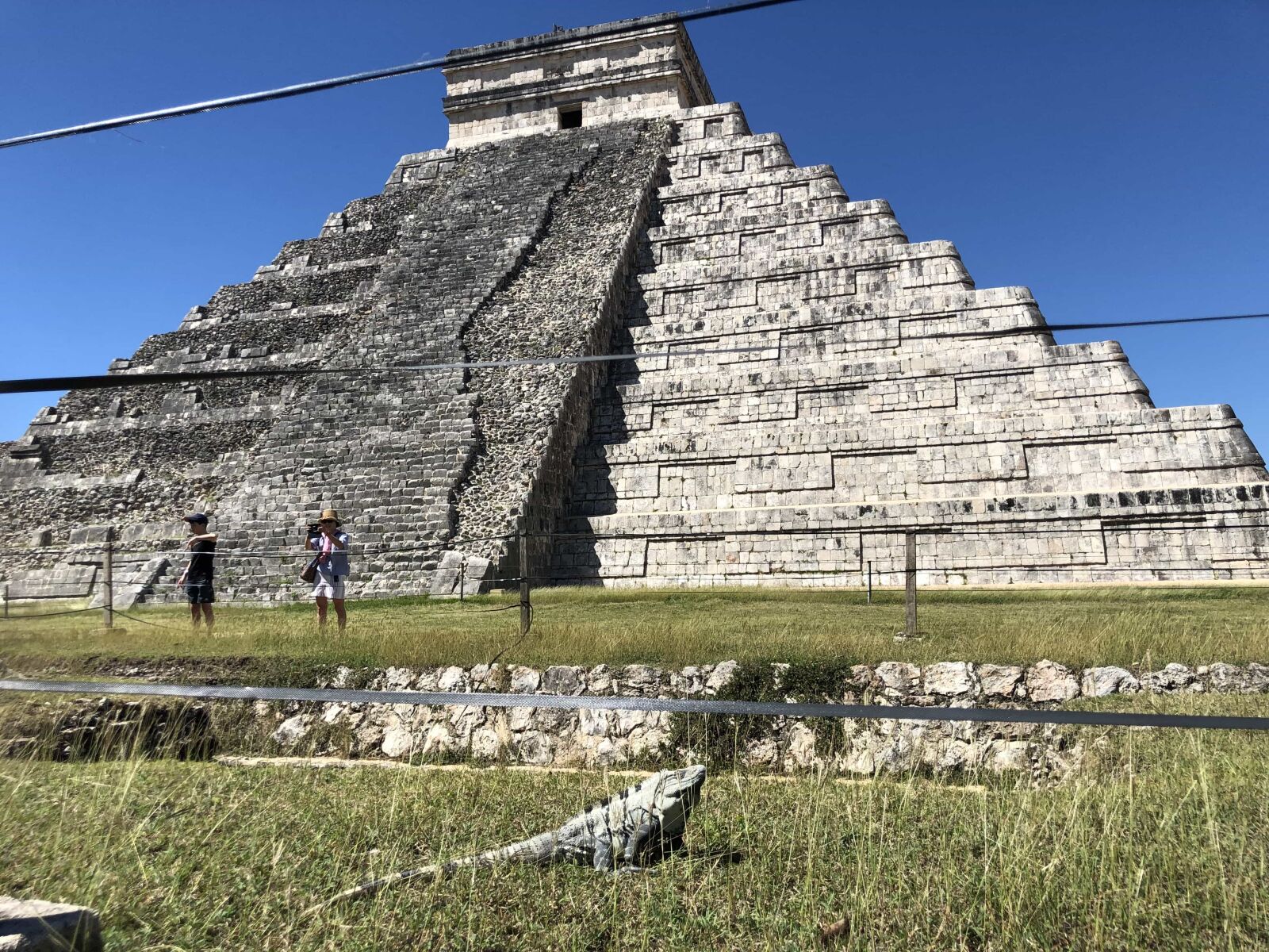 iPhone X back dual camera 4mm f/1.8 sample photo. Grass plants, lizard, pyramid photography