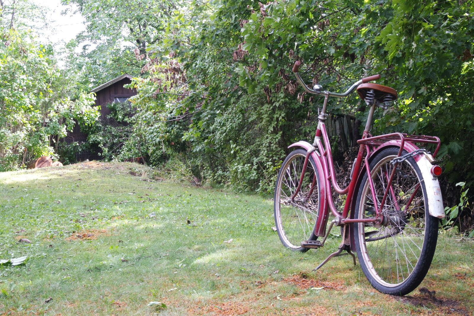 Samsung NX mini sample photo. Bicycle by the thicket photography