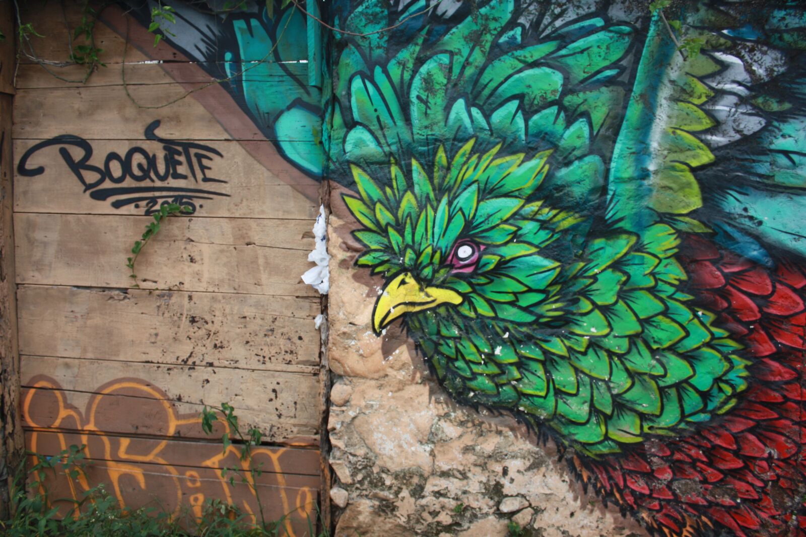 Canon EOS 450D (EOS Rebel XSi / EOS Kiss X2) sample photo. Quetzal, topical, bird photography