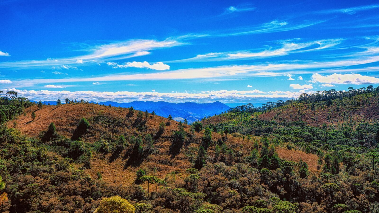 Sony Alpha a3000 + Sony E 18-55mm F3.5-5.6 OSS sample photo. Campos do jordao, mantiqueira photography
