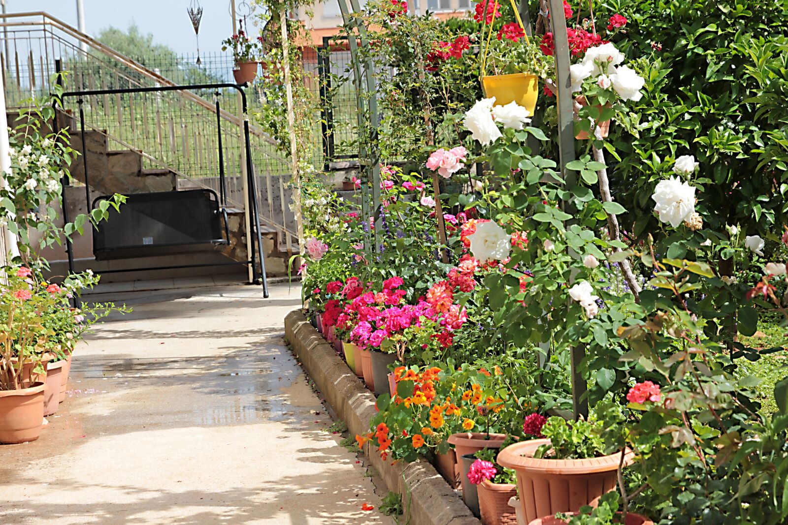 Canon EOS 550D (EOS Rebel T2i / EOS Kiss X4) sample photo. My garden, flowers, beauty photography
