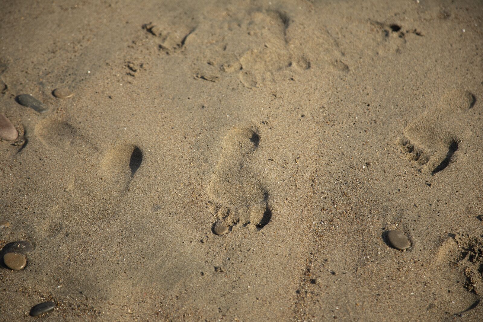 Canon EOS 5D Mark IV sample photo. Foot, iz, beach photography