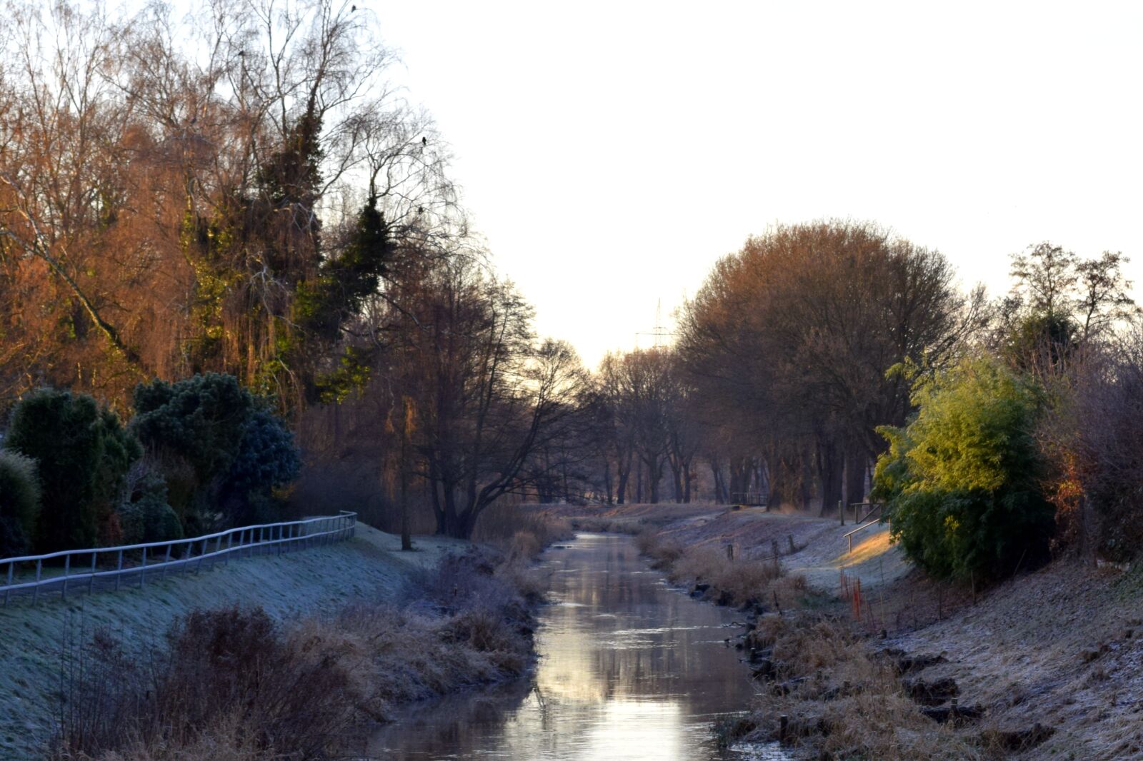 Nikon D3300 sample photo. Winter, frost, bach photography