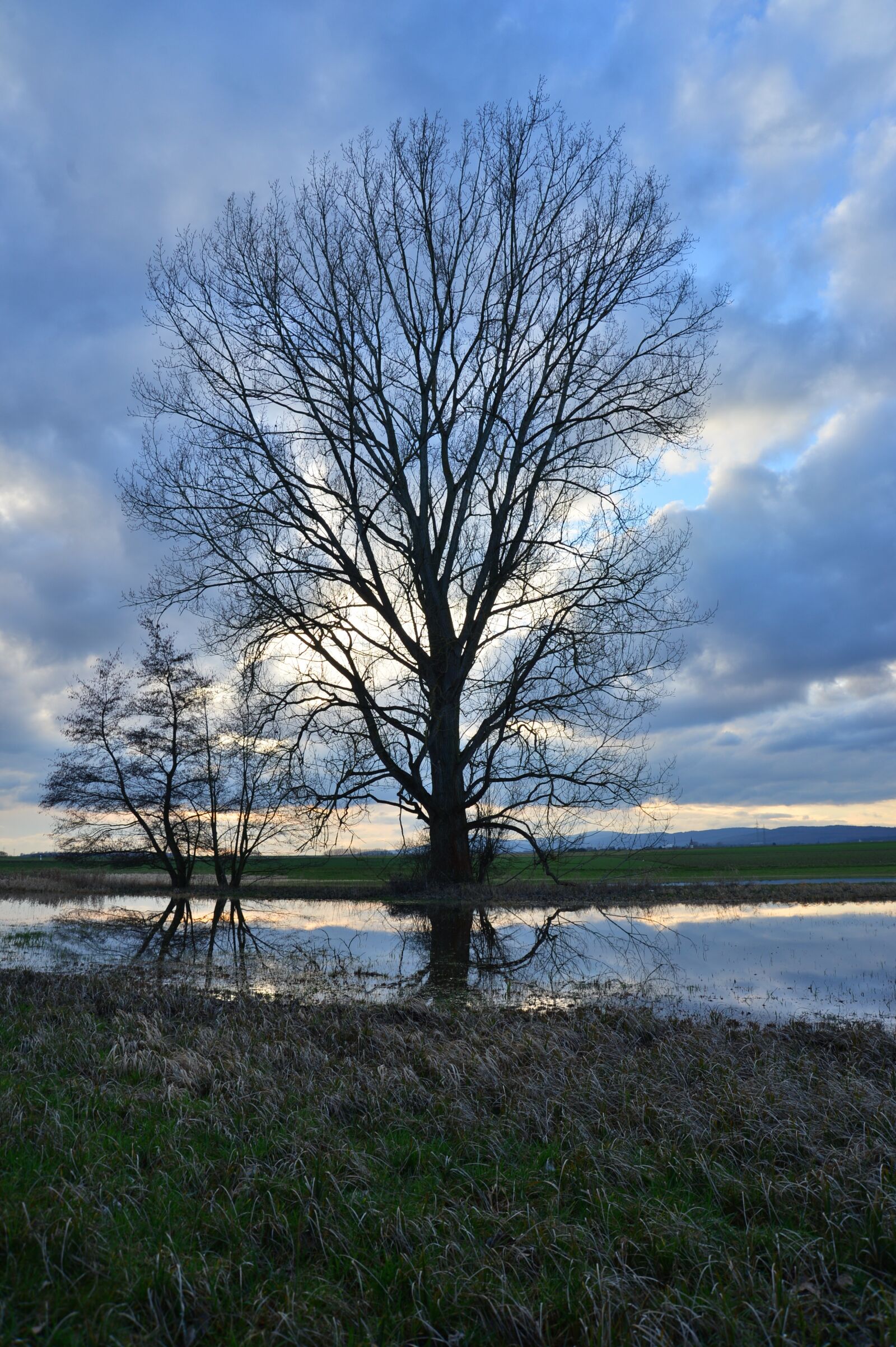 Nikon D4 sample photo. Water, landscape, trees photography