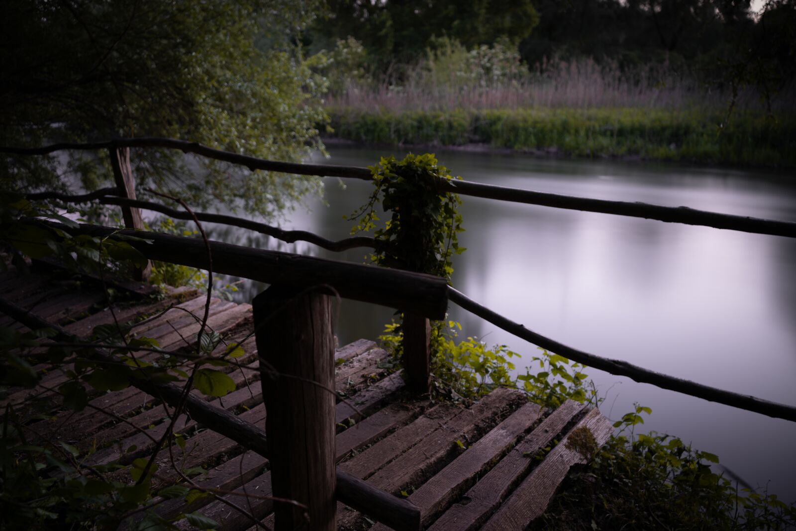 Sony a7 II sample photo. Bridge, nature, forest photography