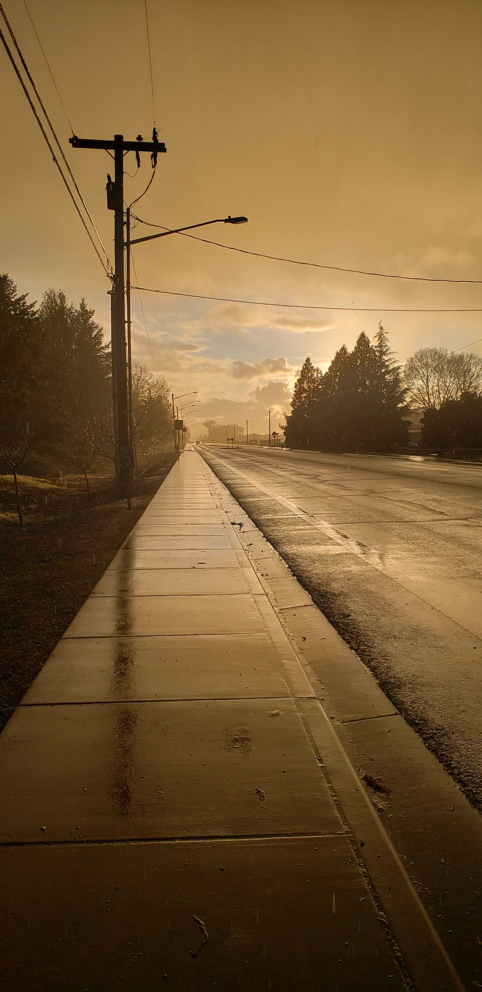 Samsung Galaxy S9 sample photo. Rain, reflection, sun photography
