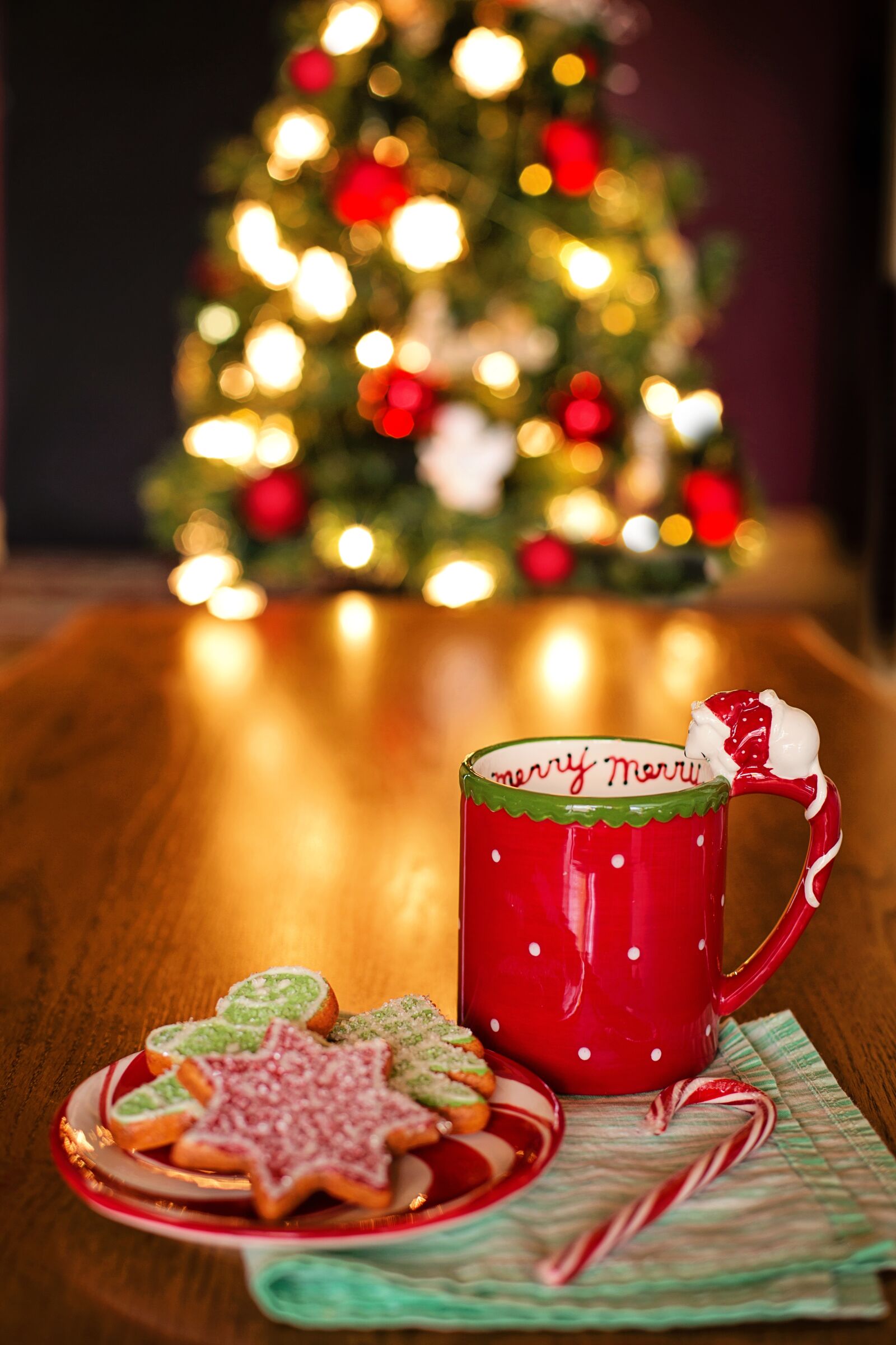 Canon EF 50mm F1.4 USM sample photo. Christmas, still life, tree photography