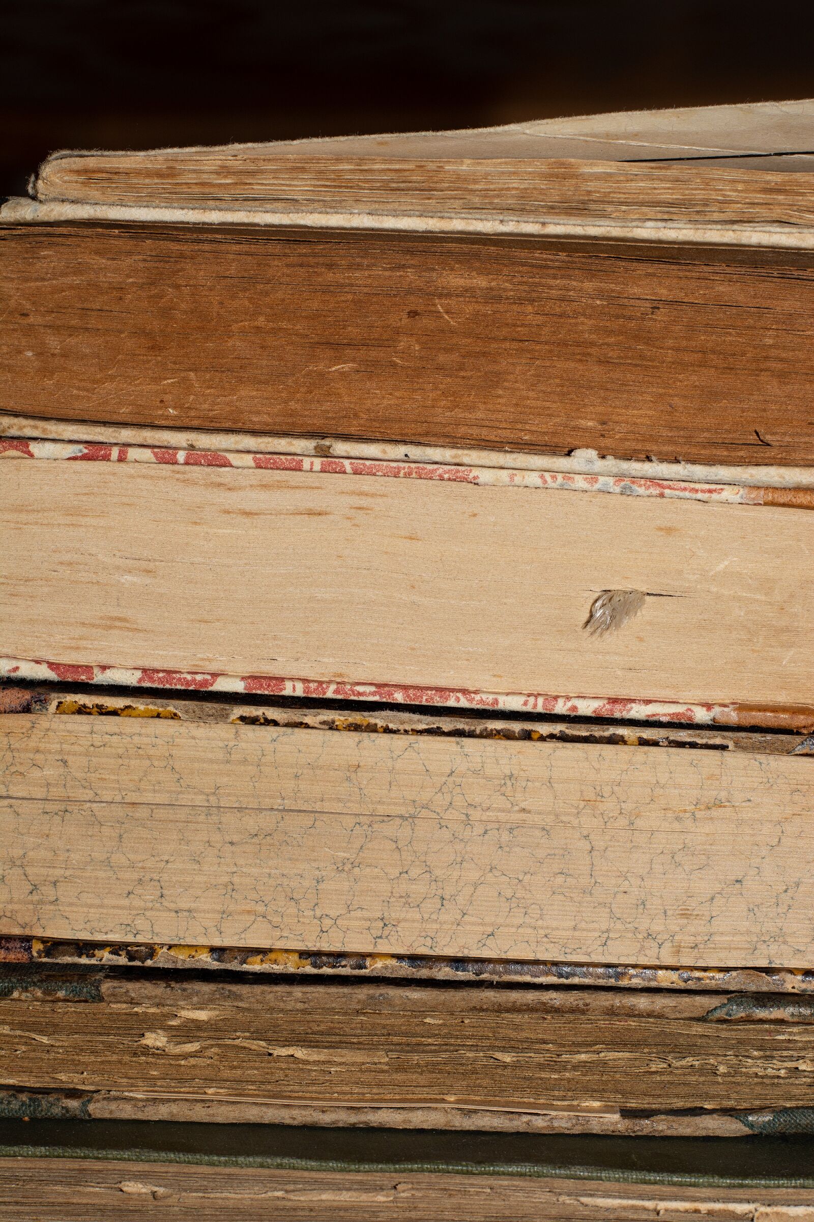 Nikon D7100 sample photo. Books, read, literature photography