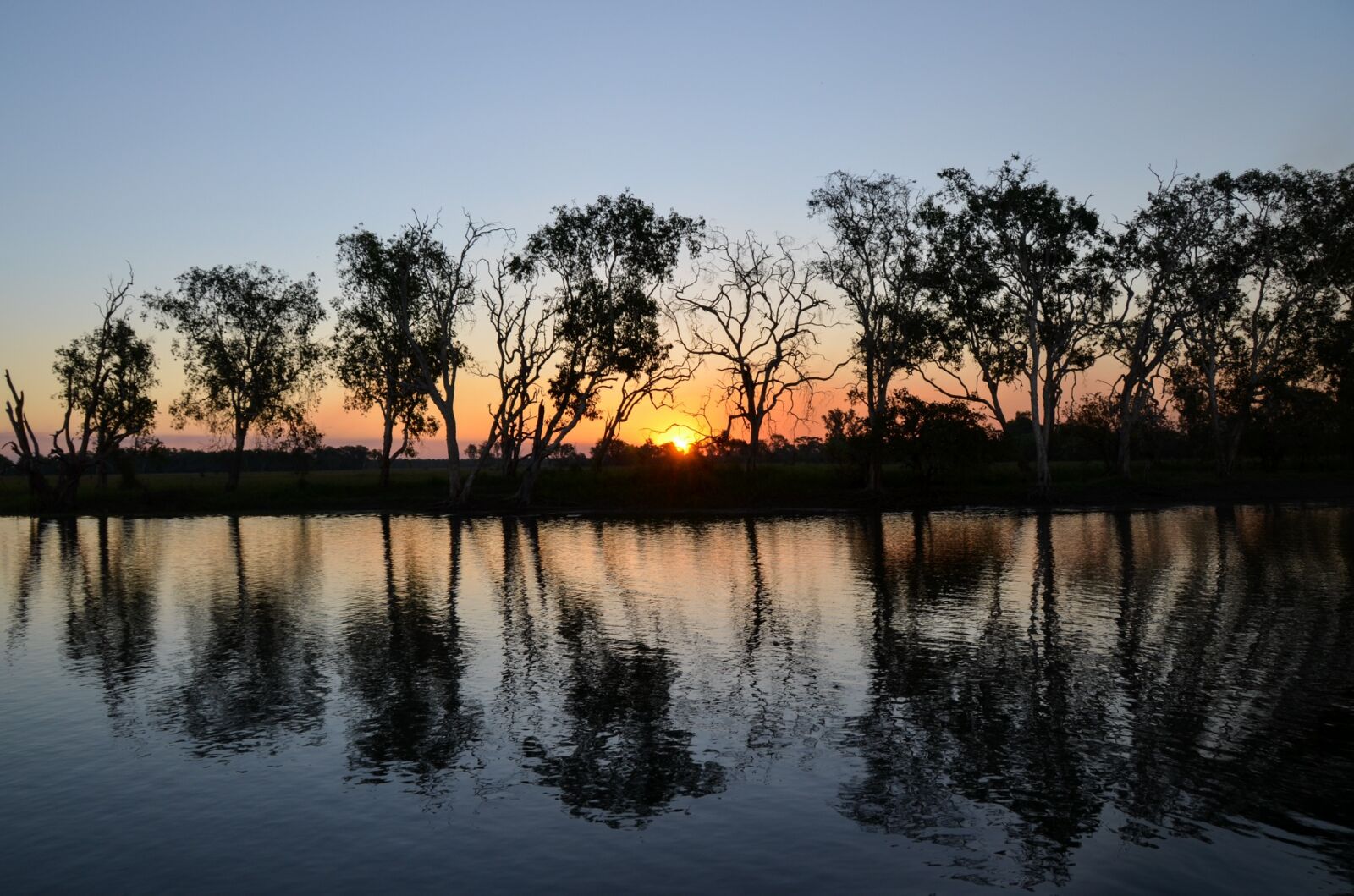 Nikon D5100 sample photo. Yellow water billabong, yellow photography