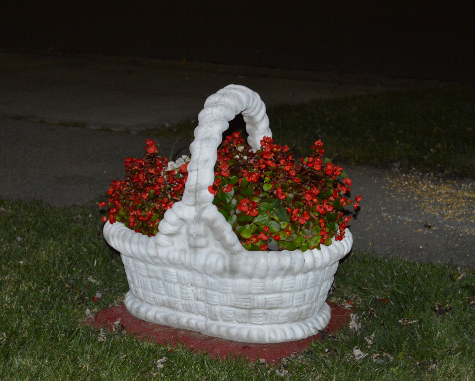 Nikon D3200 sample photo - dV7DTA8t5Q - ExploreCams