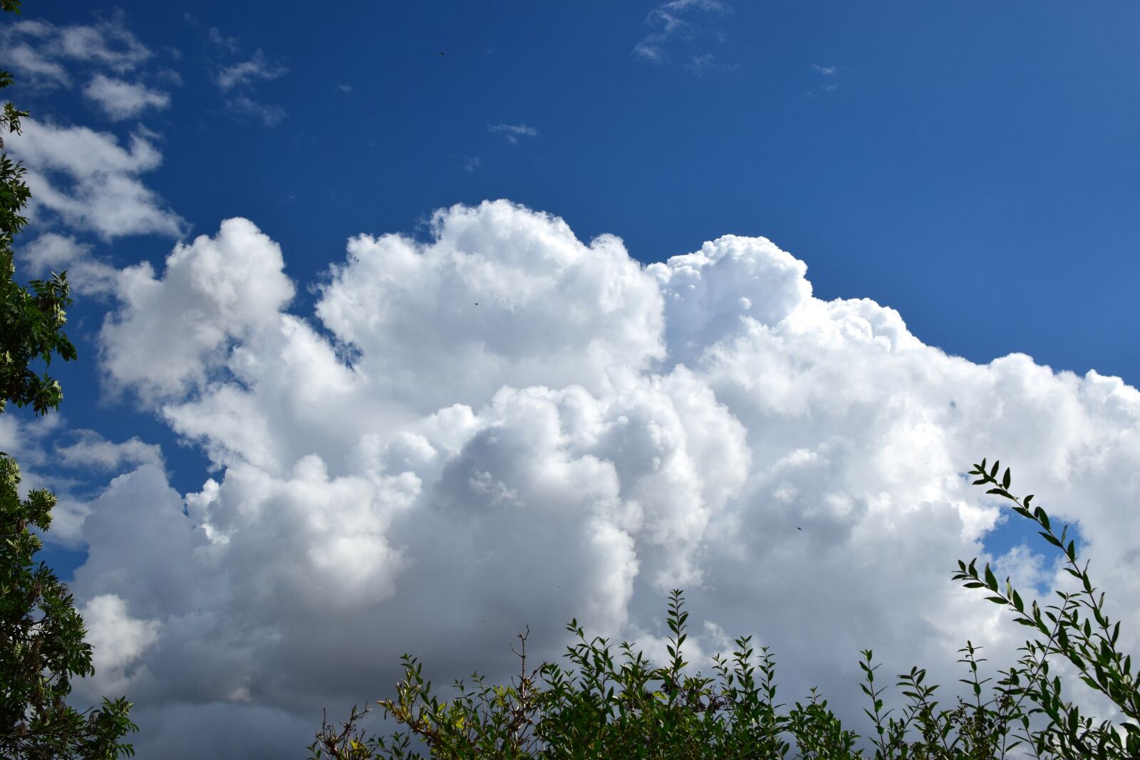 Nikon D5300 sample photo. Clouds, sky, blue photography