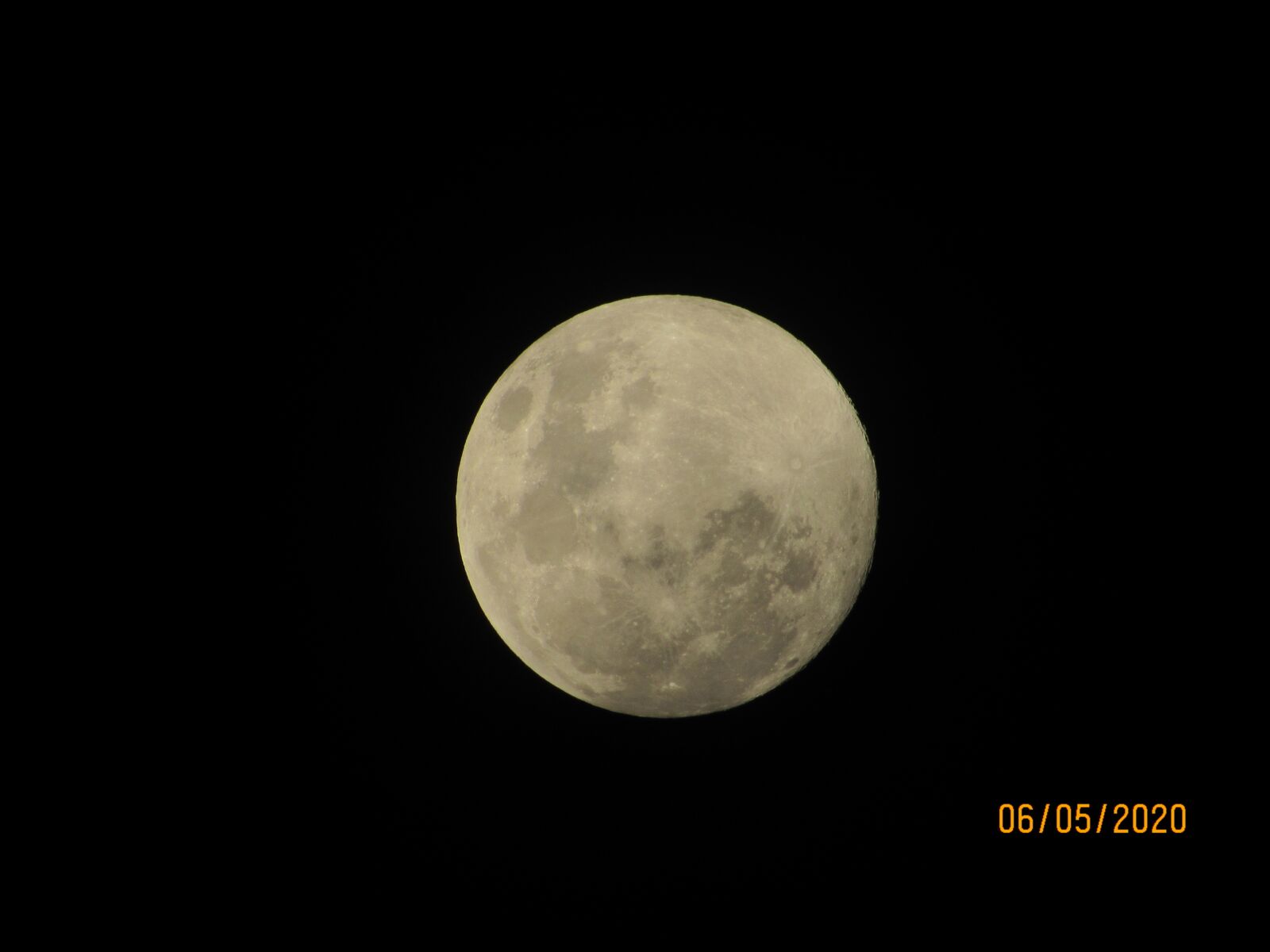 Canon PowerShot SX530 HS sample photo. The moon, the flowers photography
