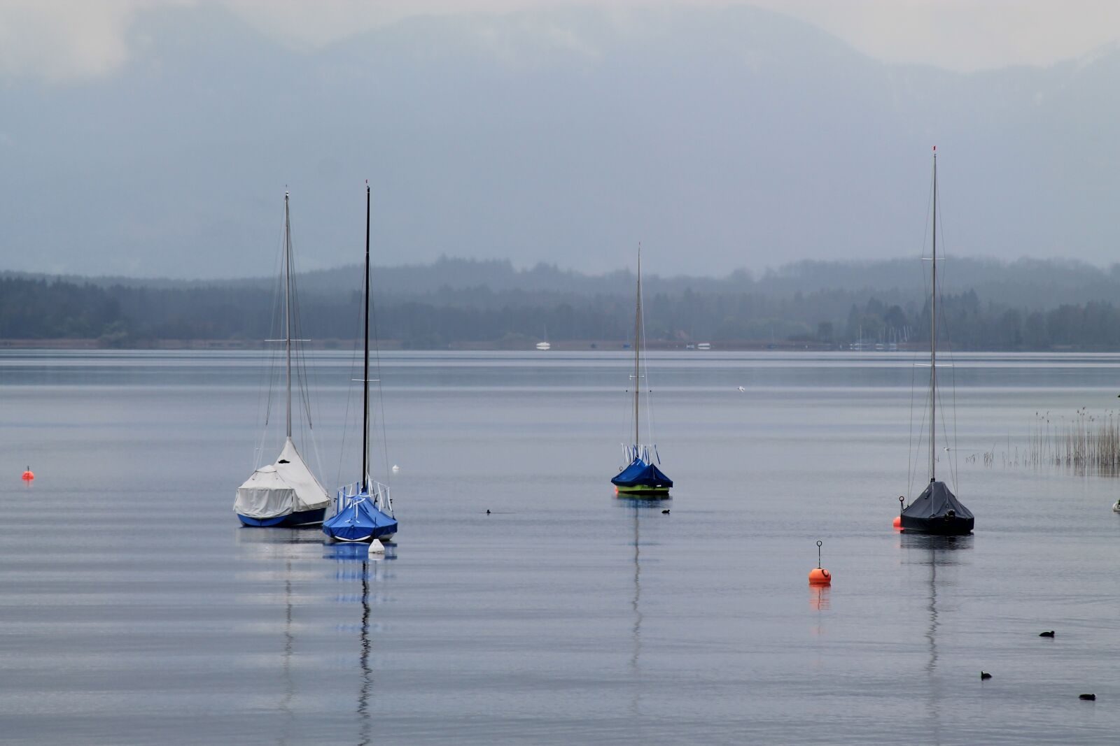 Canon EOS 1100D (EOS Rebel T3 / EOS Kiss X50) sample photo. Lake, water, idyll photography