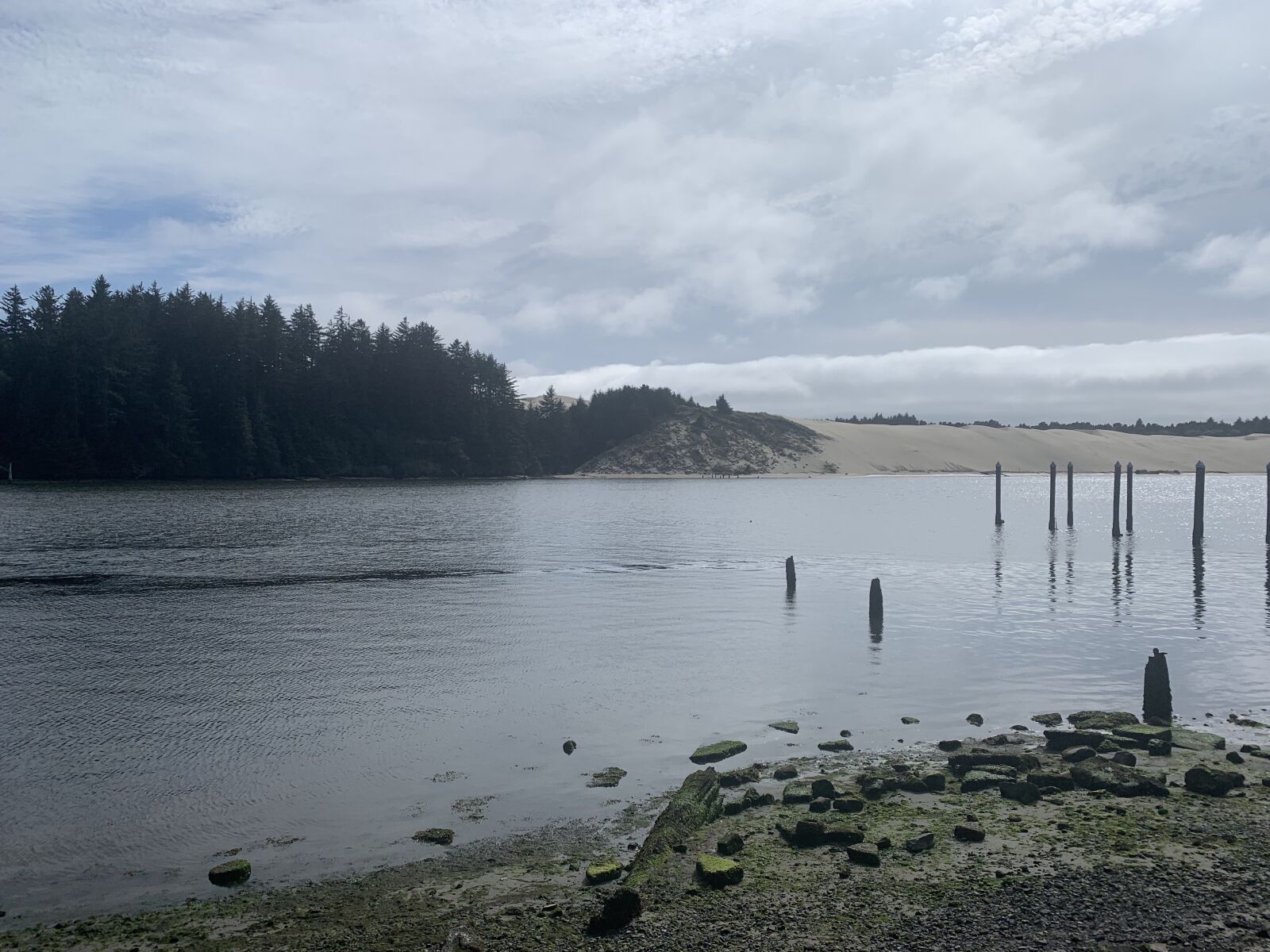 iPhone XR back camera 4.25mm f/1.8 sample photo. Florence, oregon, water photography