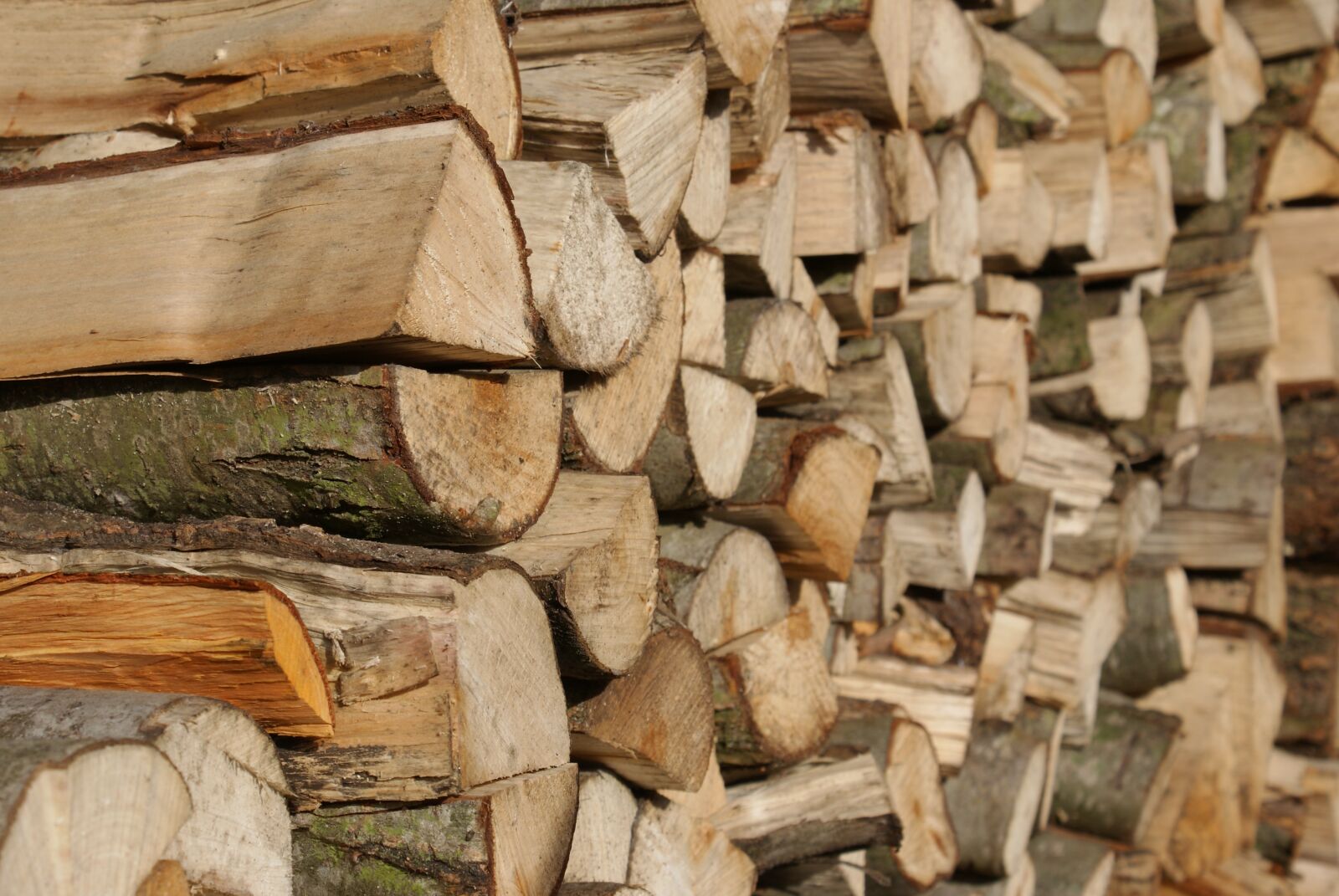 Sony Alpha DSLR-A300 sample photo. Wood, stack, trunks photography