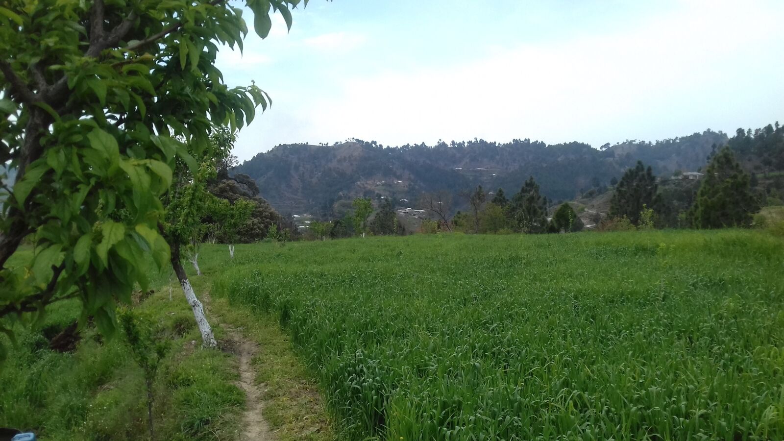 Samsung Galaxy J3(2016) sample photo. Pakistan, peeran mansehra, peeran photography