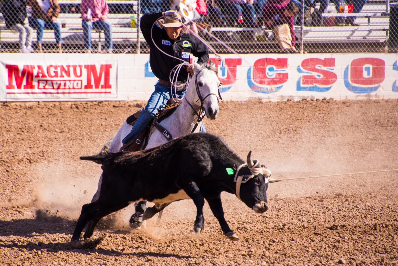 Nikon D7200 sample photo. Roping, lasso, horse photography