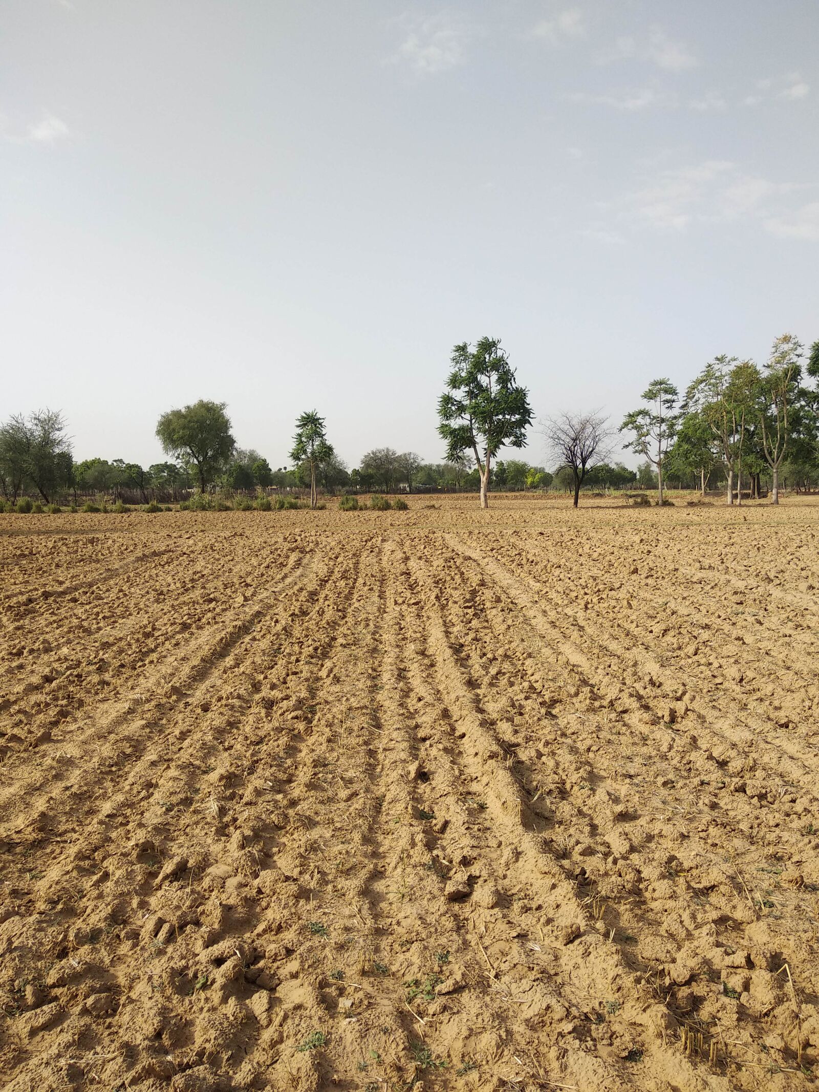 Xiaomi Mi A1 sample photo. Feild, agriculture, play ground photography