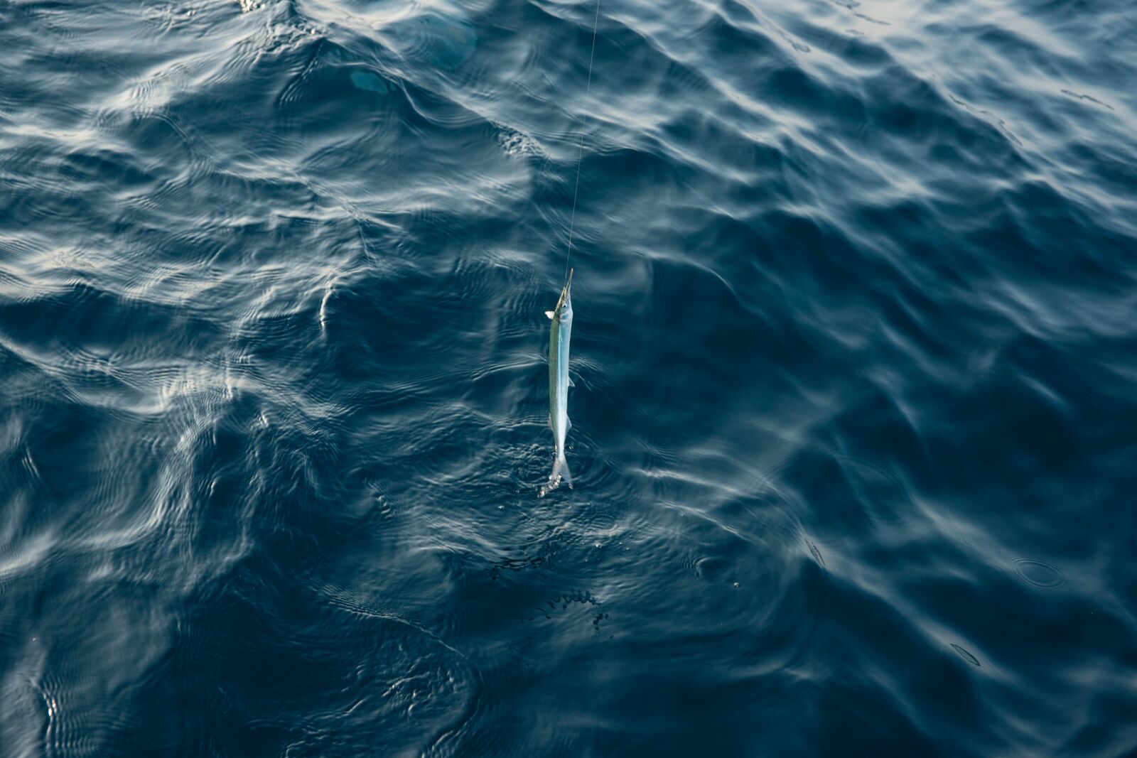 Sony Alpha DSLR-A900 sample photo. Sea, fishing, boat photography