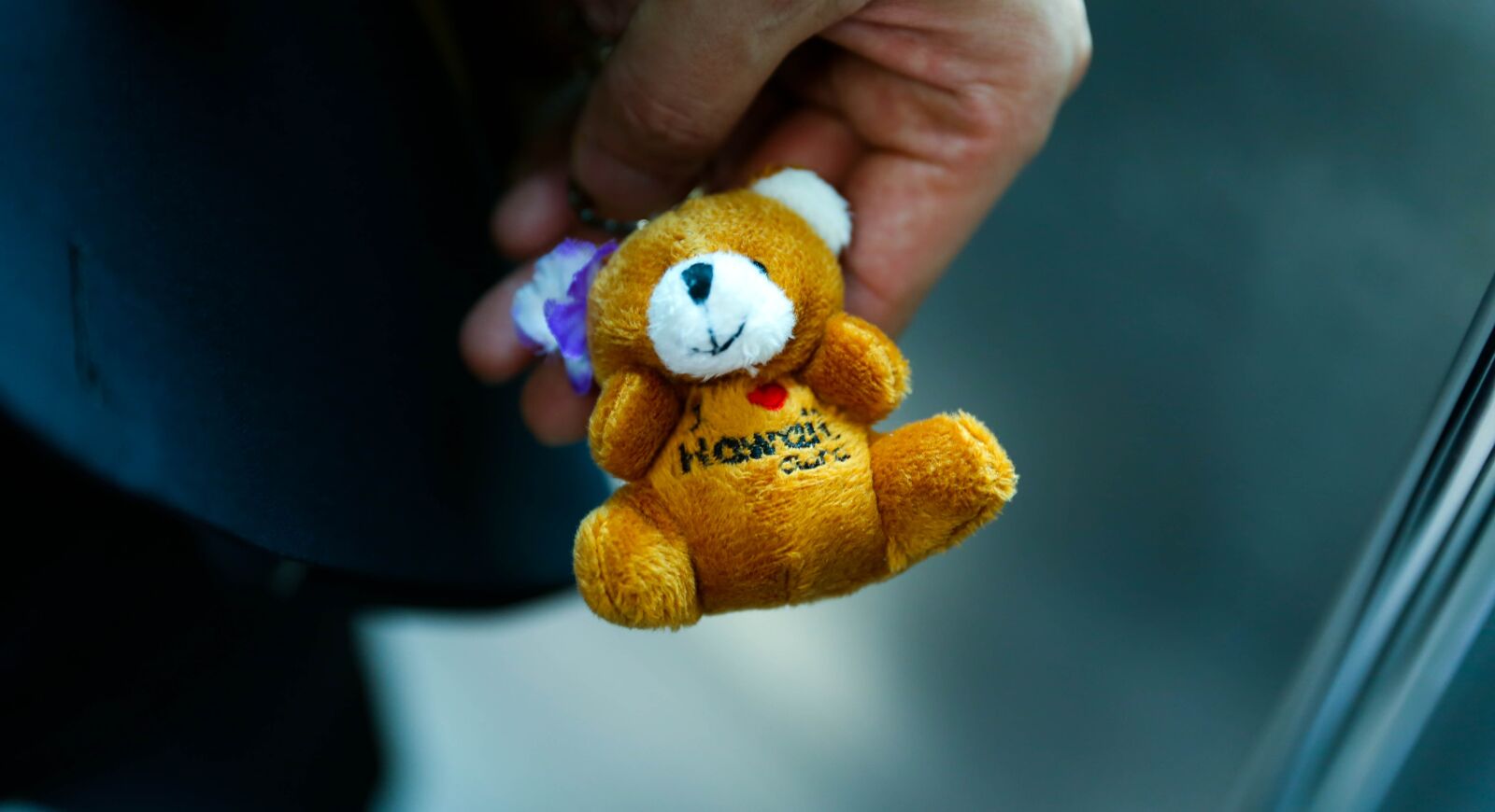 Canon EOS 6D sample photo. Bear, doll, teddy bear photography