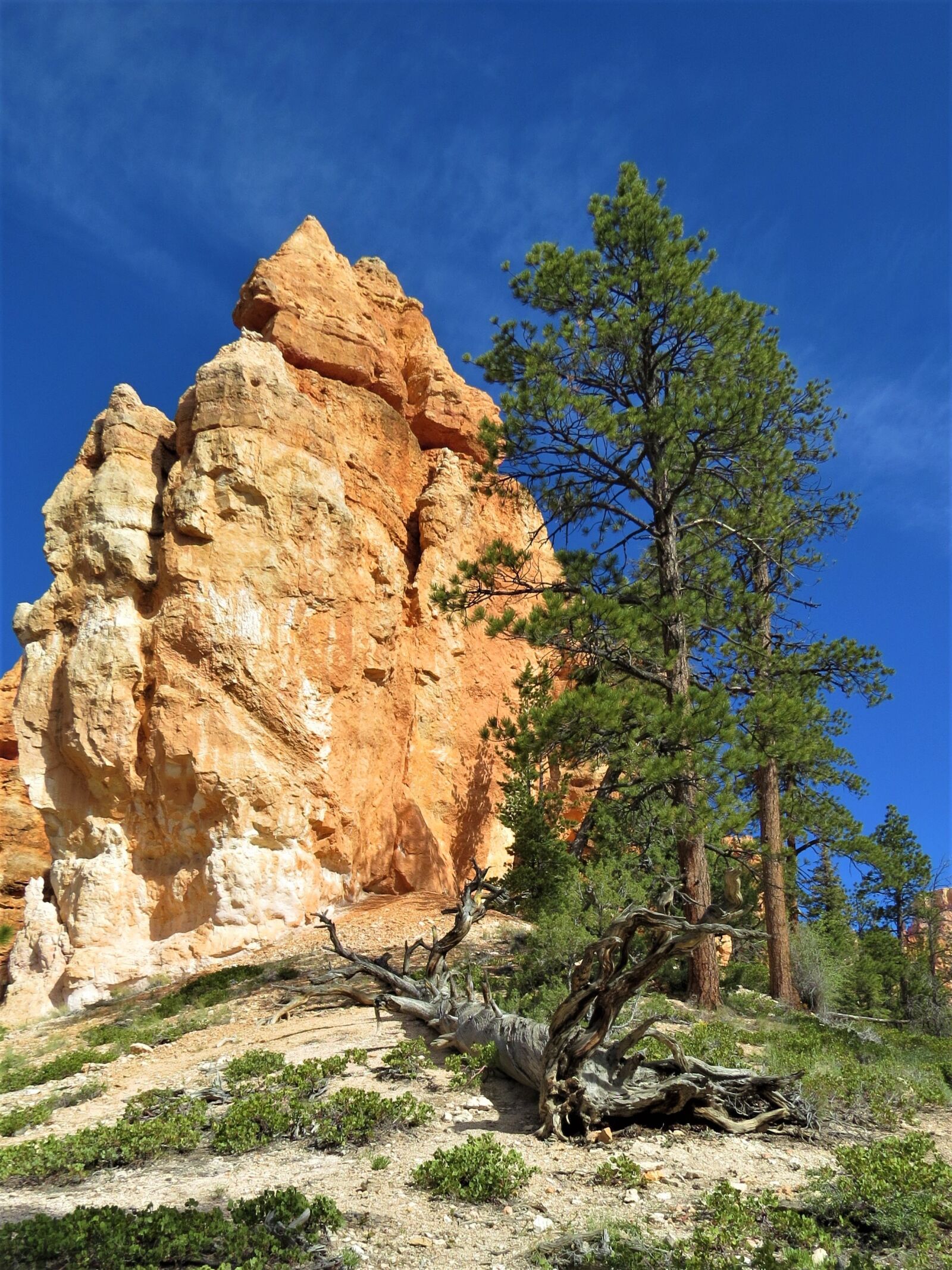 Canon PowerShot SX50 HS sample photo. Bryce canyon, hiking, orange photography