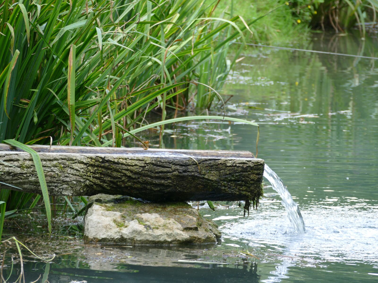 Panasonic Lumix DMC-FZ1000 sample photo. Lake, reed, water photography