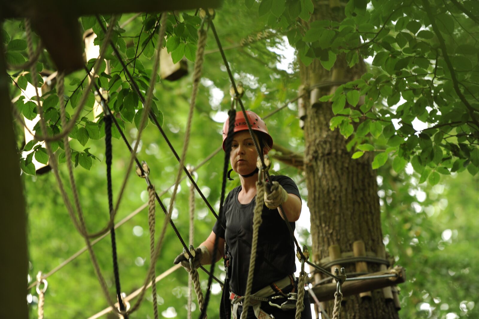 Nikon D700 sample photo. Climb, climbing forest, climbing photography