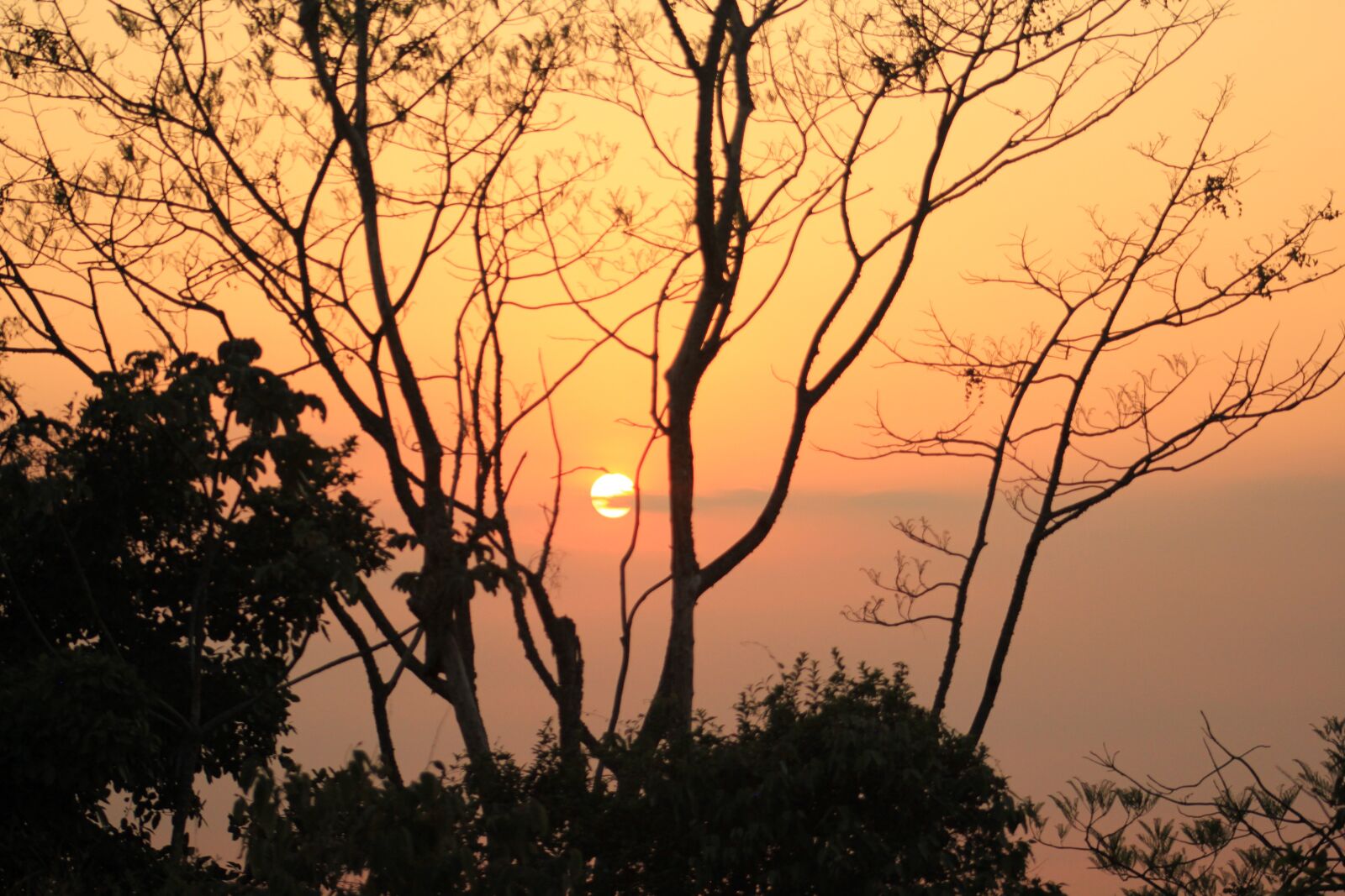 Canon EOS 550D (EOS Rebel T2i / EOS Kiss X4) sample photo. Sun, sunny, landscape photography