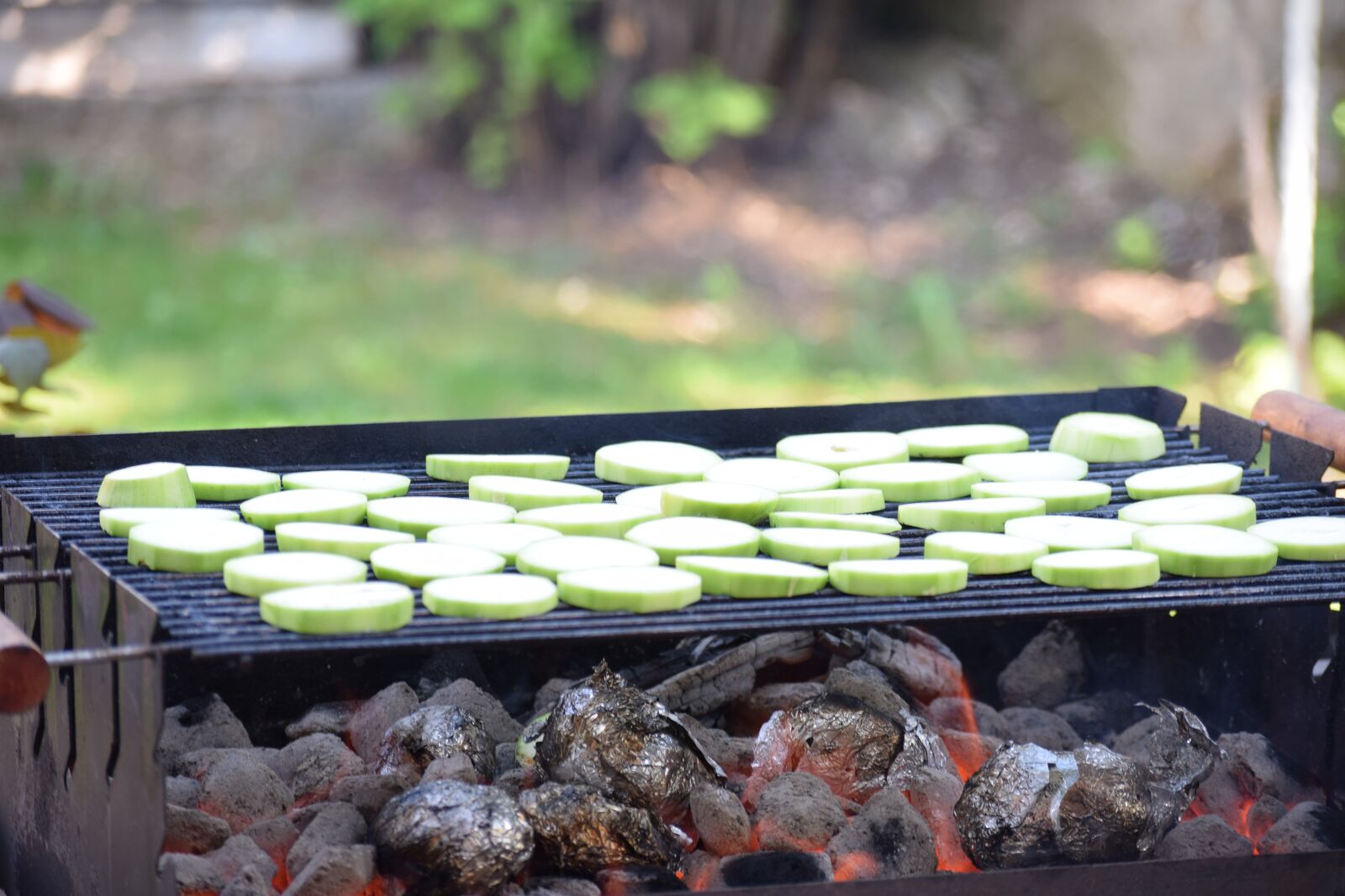 Nikon D3300 sample photo. Zucchini, vegetables, grilled photography