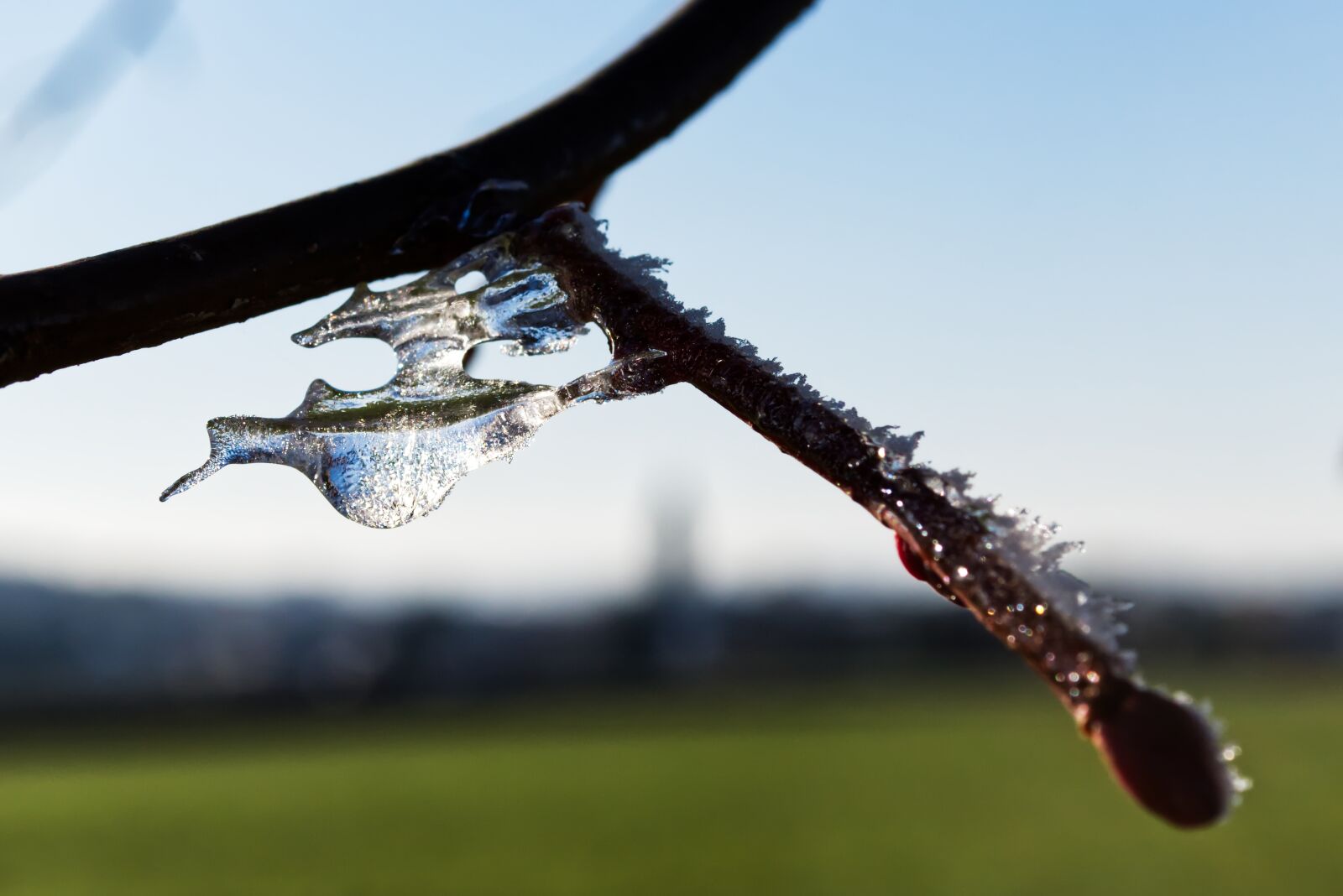 Nikon D5500 sample photo. Winter, ice, snow photography