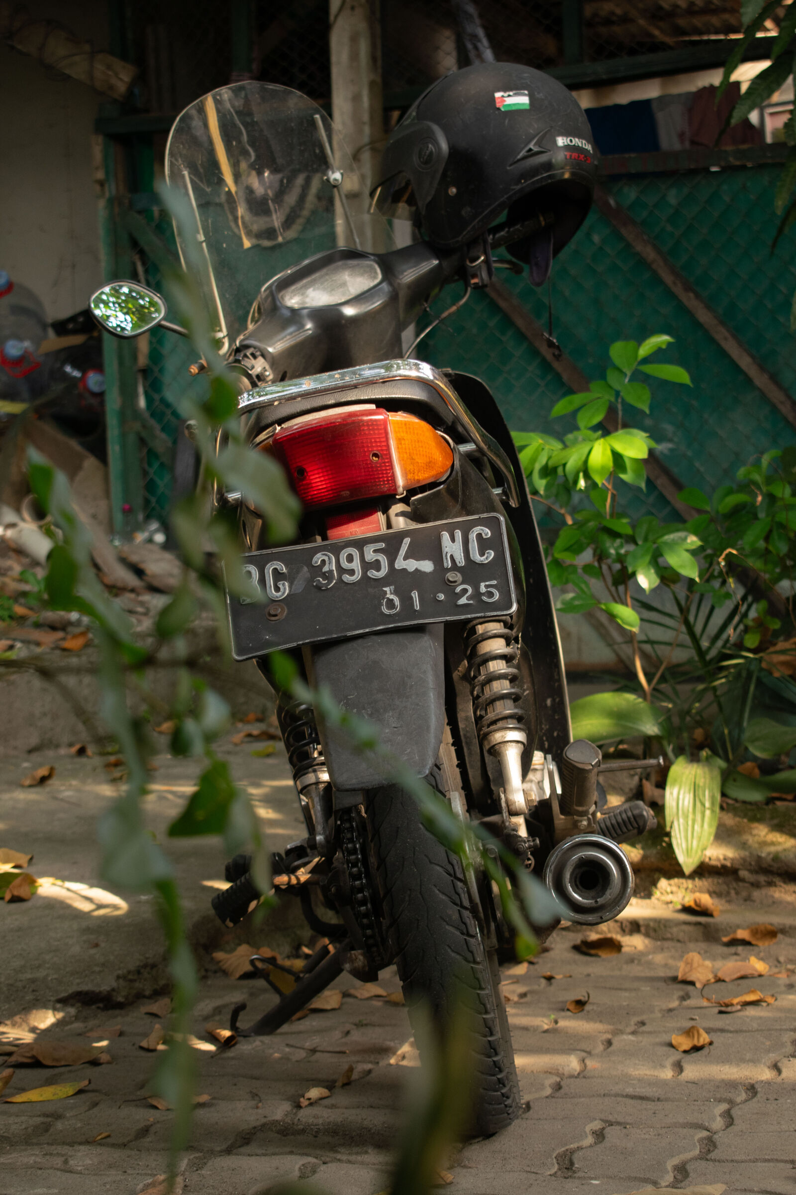 Nikon D5300 sample photo