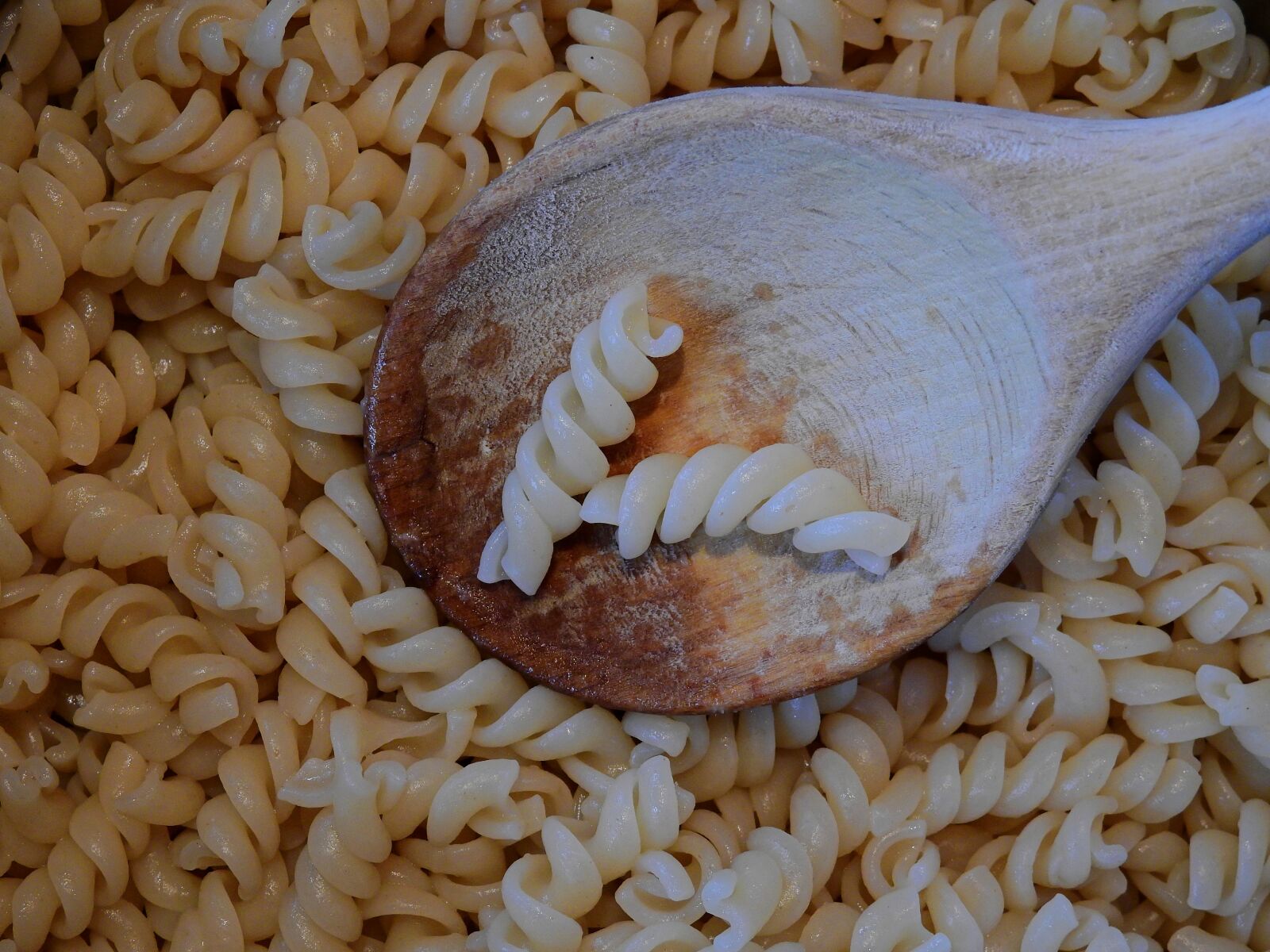 Nikon Coolpix P900 sample photo. Noodles, spiral pasta, pasta photography