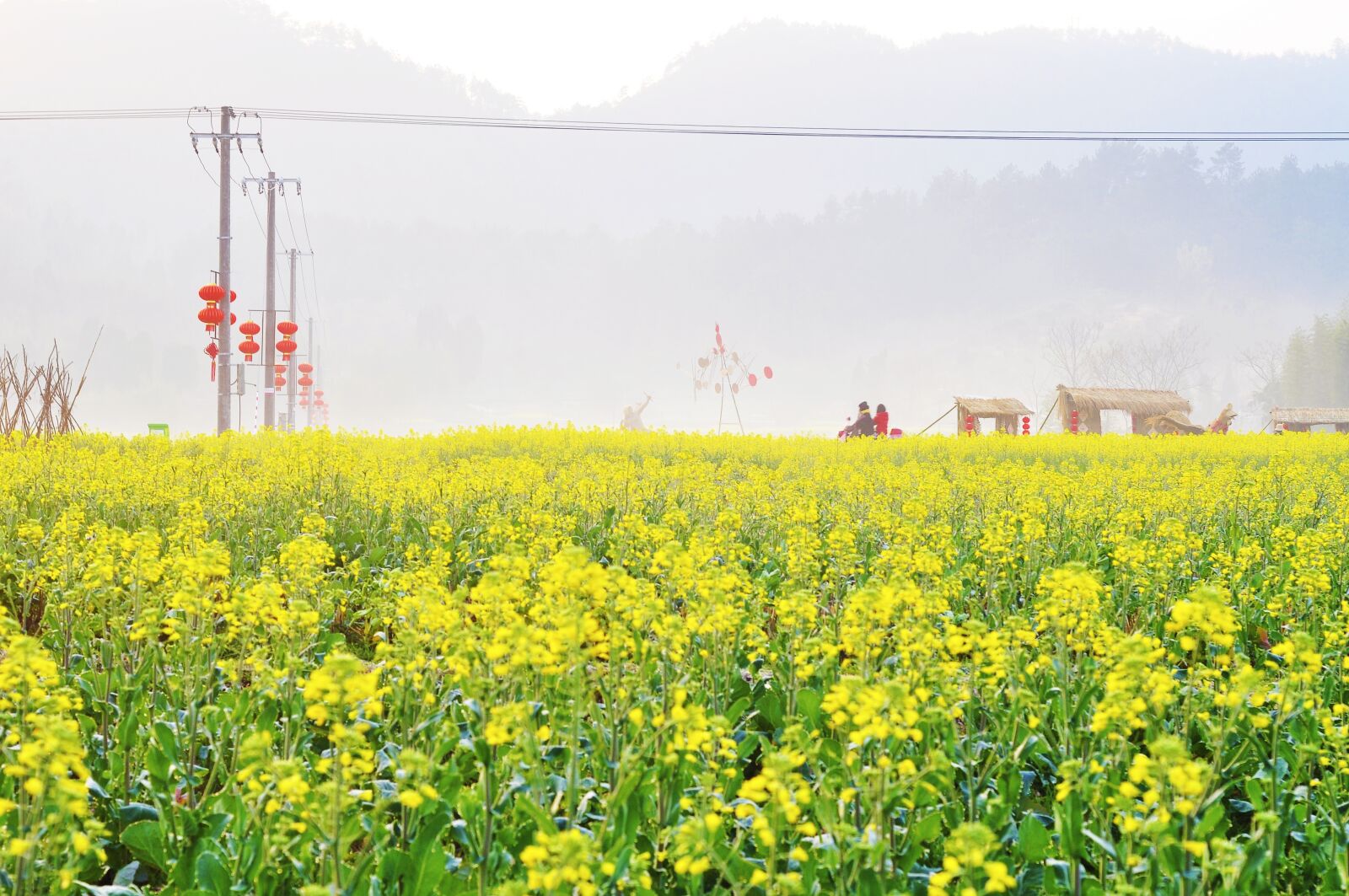 Nikon D90 sample photo. 风景, 春天, 清新 photography