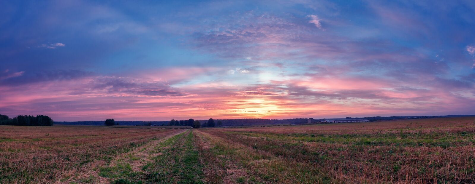 Canon EOS 450D (EOS Rebel XSi / EOS Kiss X2) sample photo. Field, morning, landscape photography