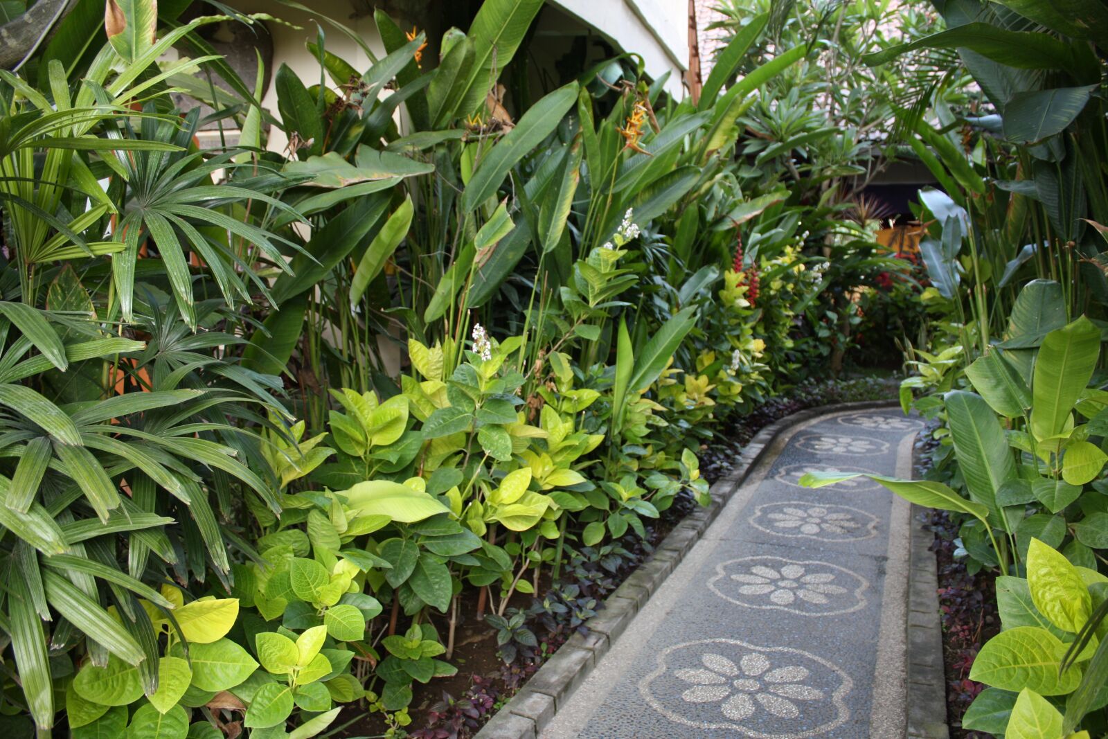 Canon EOS 450D (EOS Rebel XSi / EOS Kiss X2) sample photo. Bali, indonesia, tropical photography