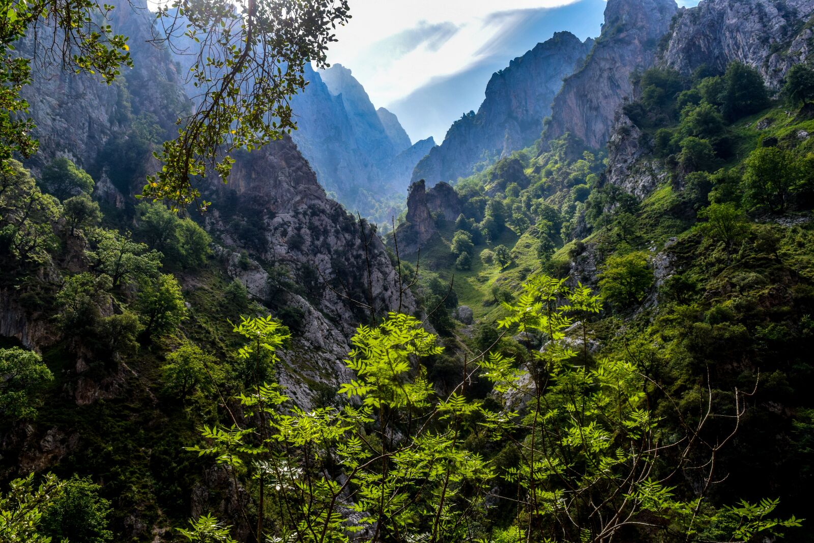 Nikon D3300 sample photo. Picos de europa, asturias photography