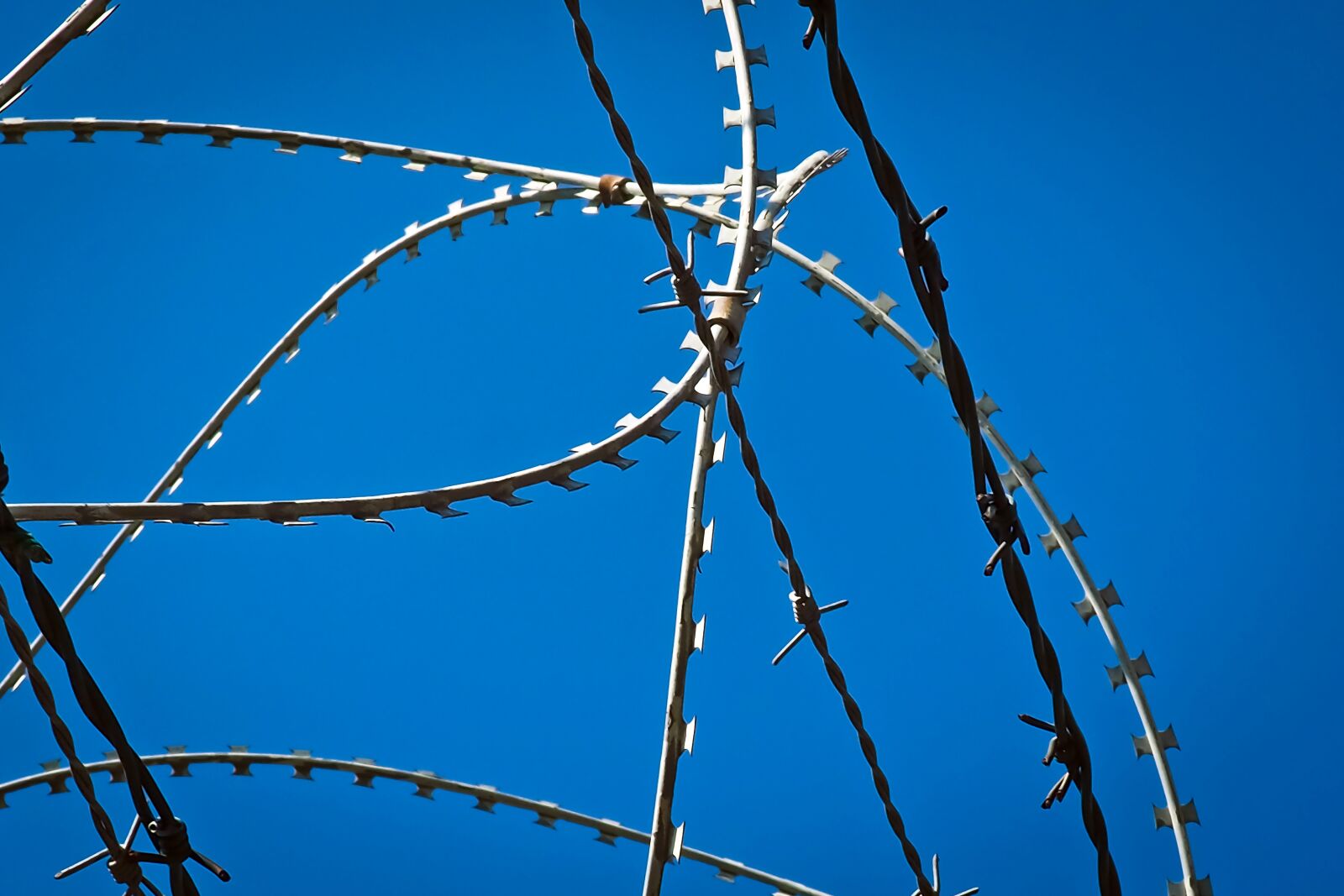 Olympus OM-D E-M10 sample photo. Barbed wire, fence, metal photography