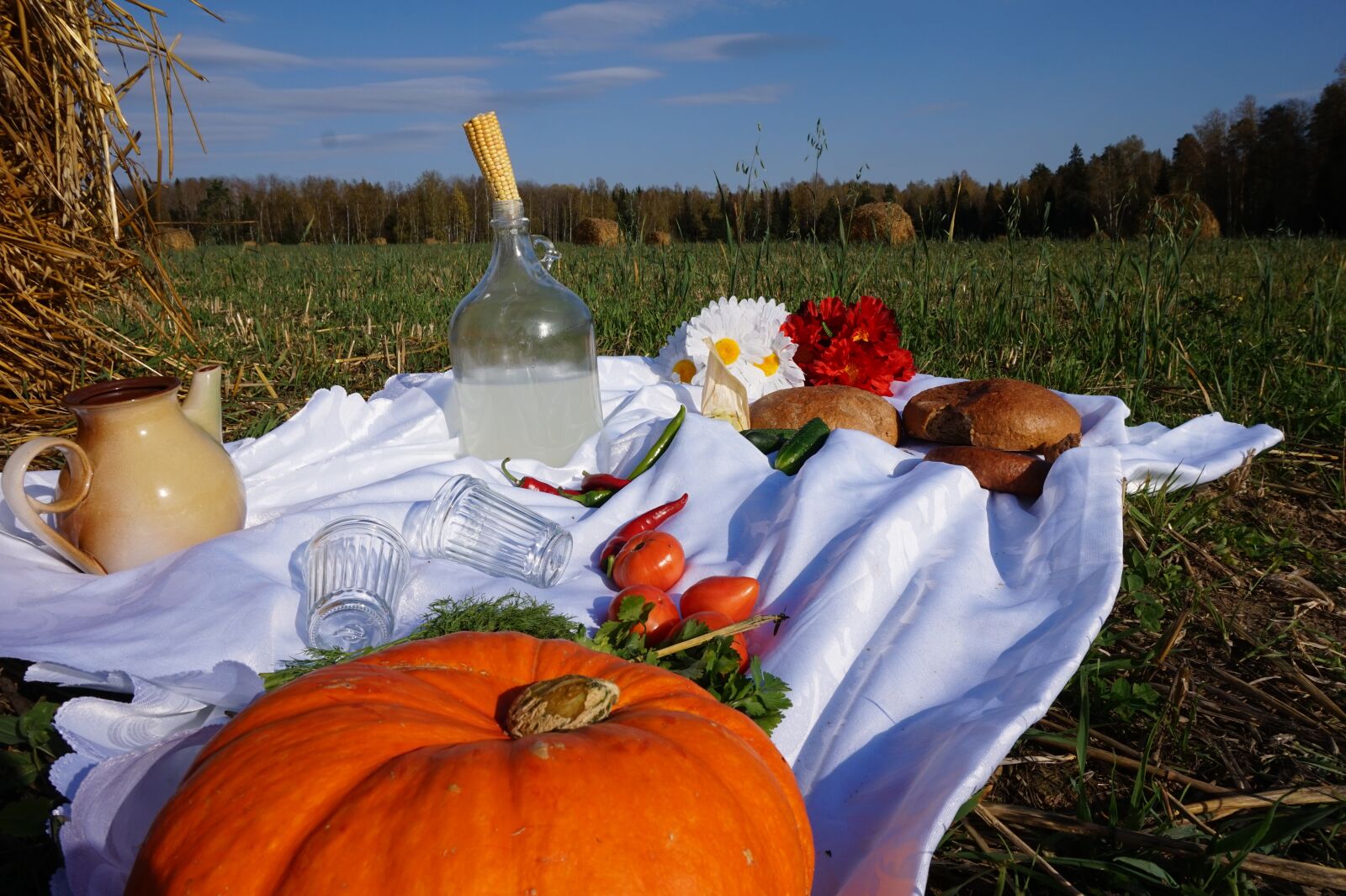 Sony Alpha a5000 (ILCE 5000) sample photo. Field, autumn, nature photography