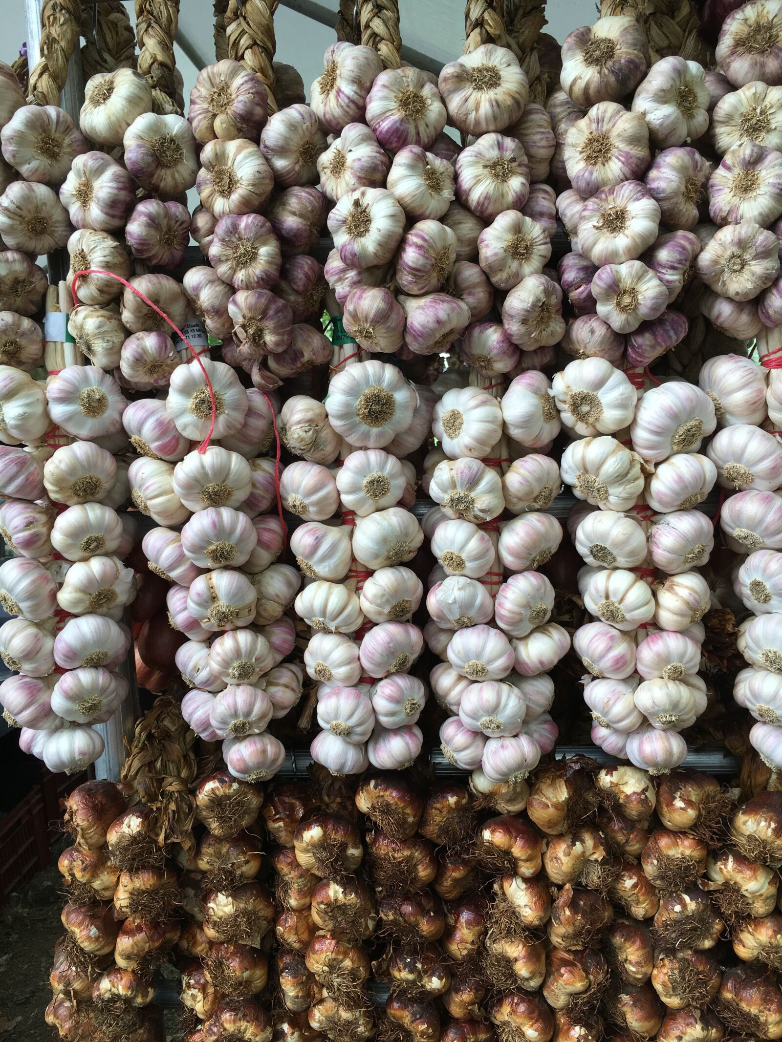 Apple iPhone 6s sample photo. Garlic, spice, cook photography