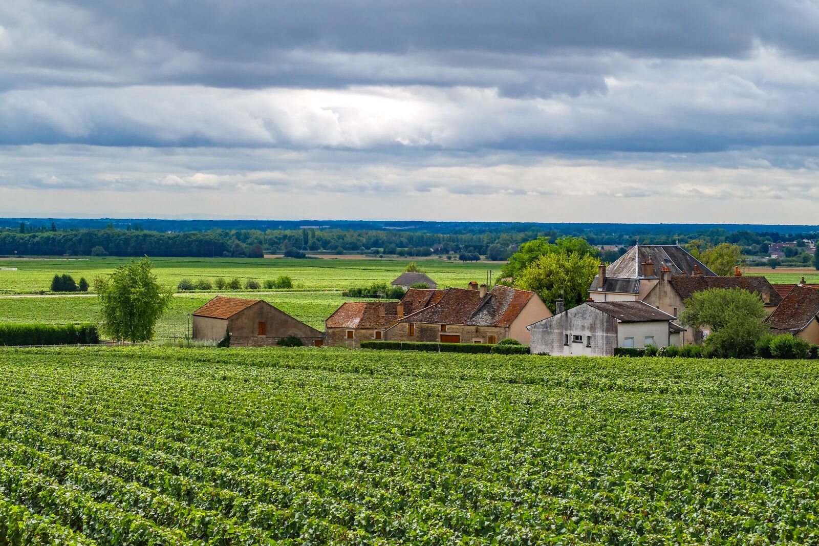 Fujifilm X30 sample photo. Vine, wine, village photography