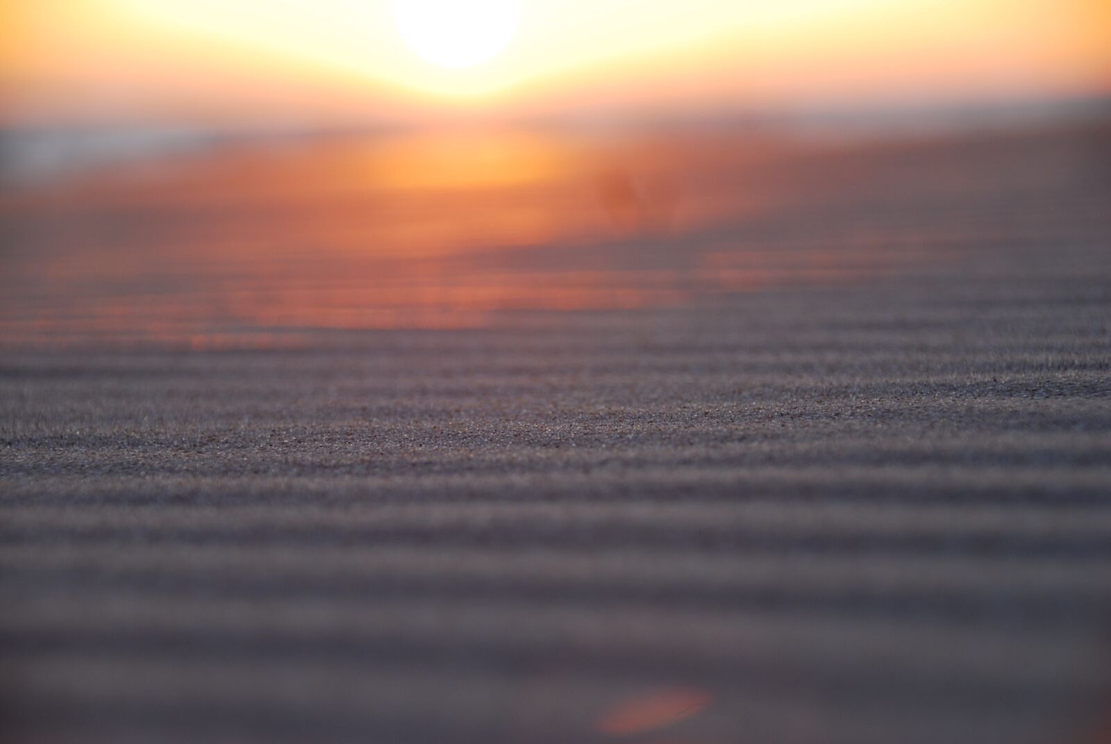Nikon D80 sample photo. Sunset, abstract, sun photography