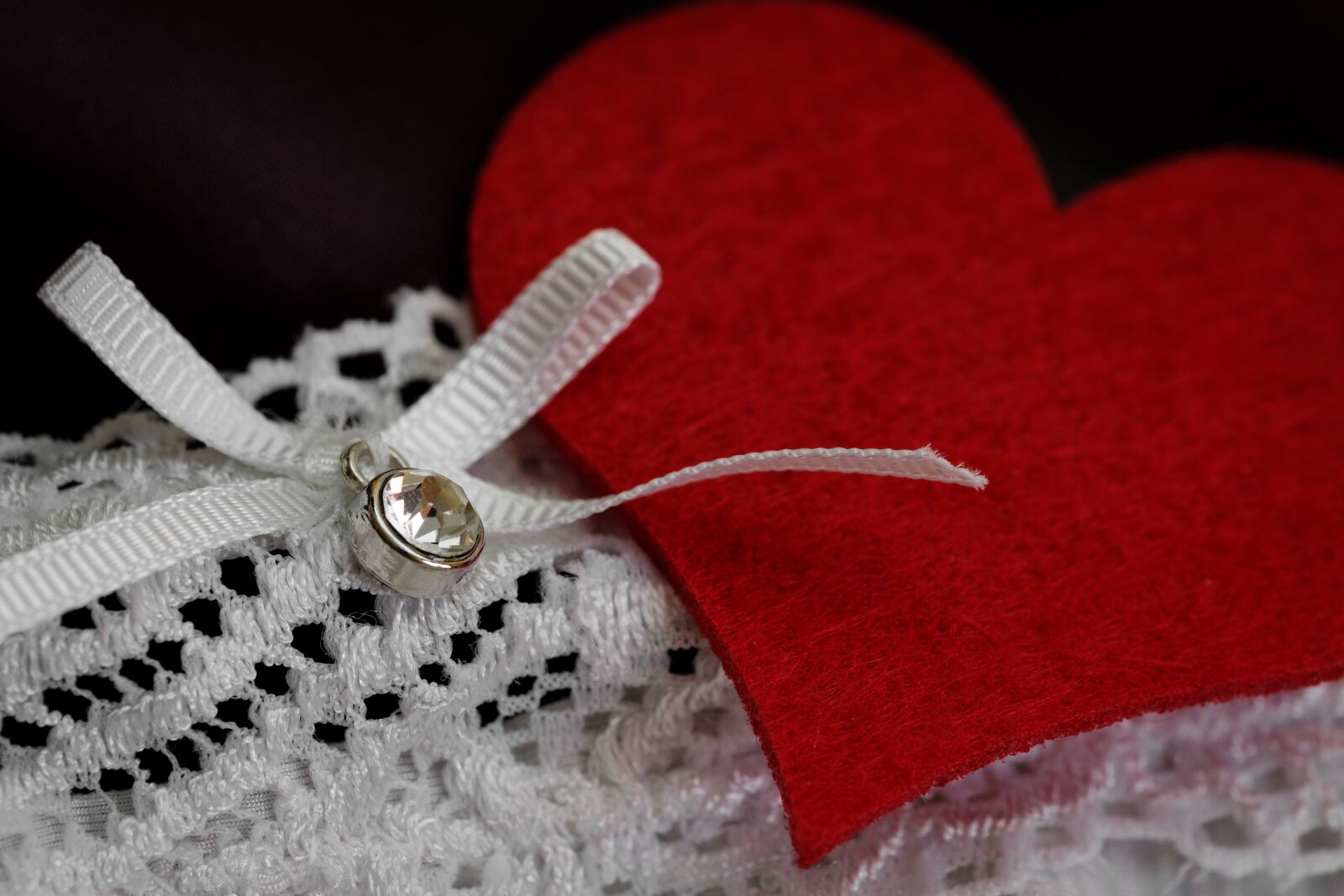 Fujifilm X-T2 + Fujifilm XF 80mm F2.8 R LM OIS WR Macro sample photo. Loop, brilliant, heart photography