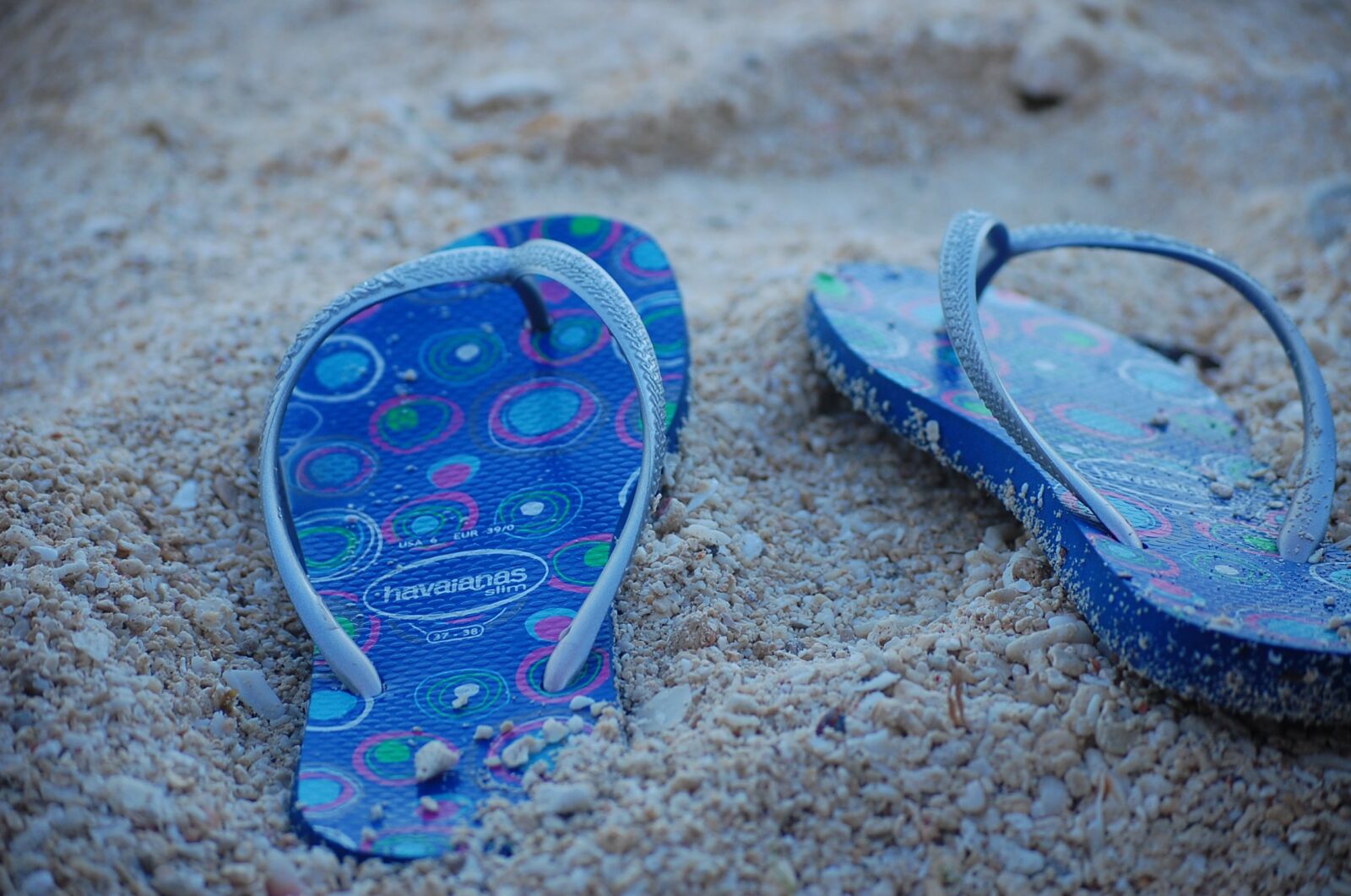 Nikon D40 sample photo. Summer, beach, water photography