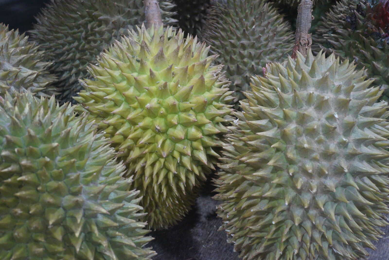 Sony Cyber-shot DSC-RX1R sample photo. Durian fruit, king of photography