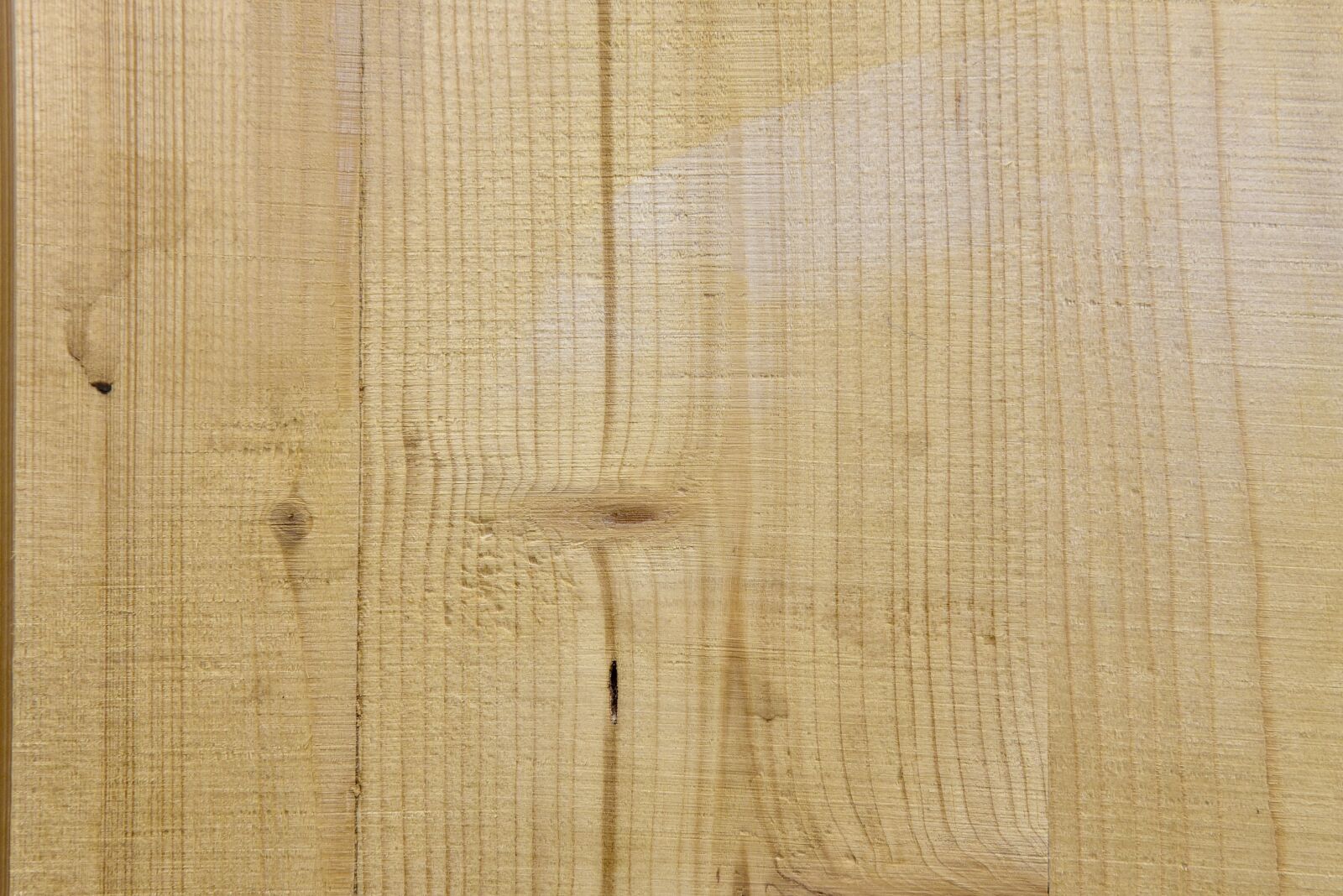 Nikon D750 sample photo. Tree, texture, template photography