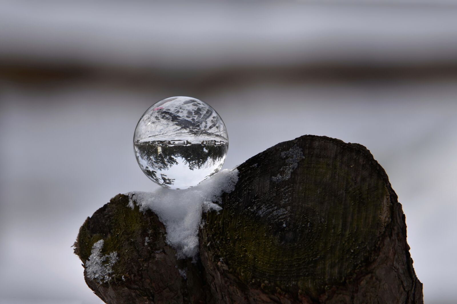 Nikon D7200 sample photo. Natural, landscape, forest photography